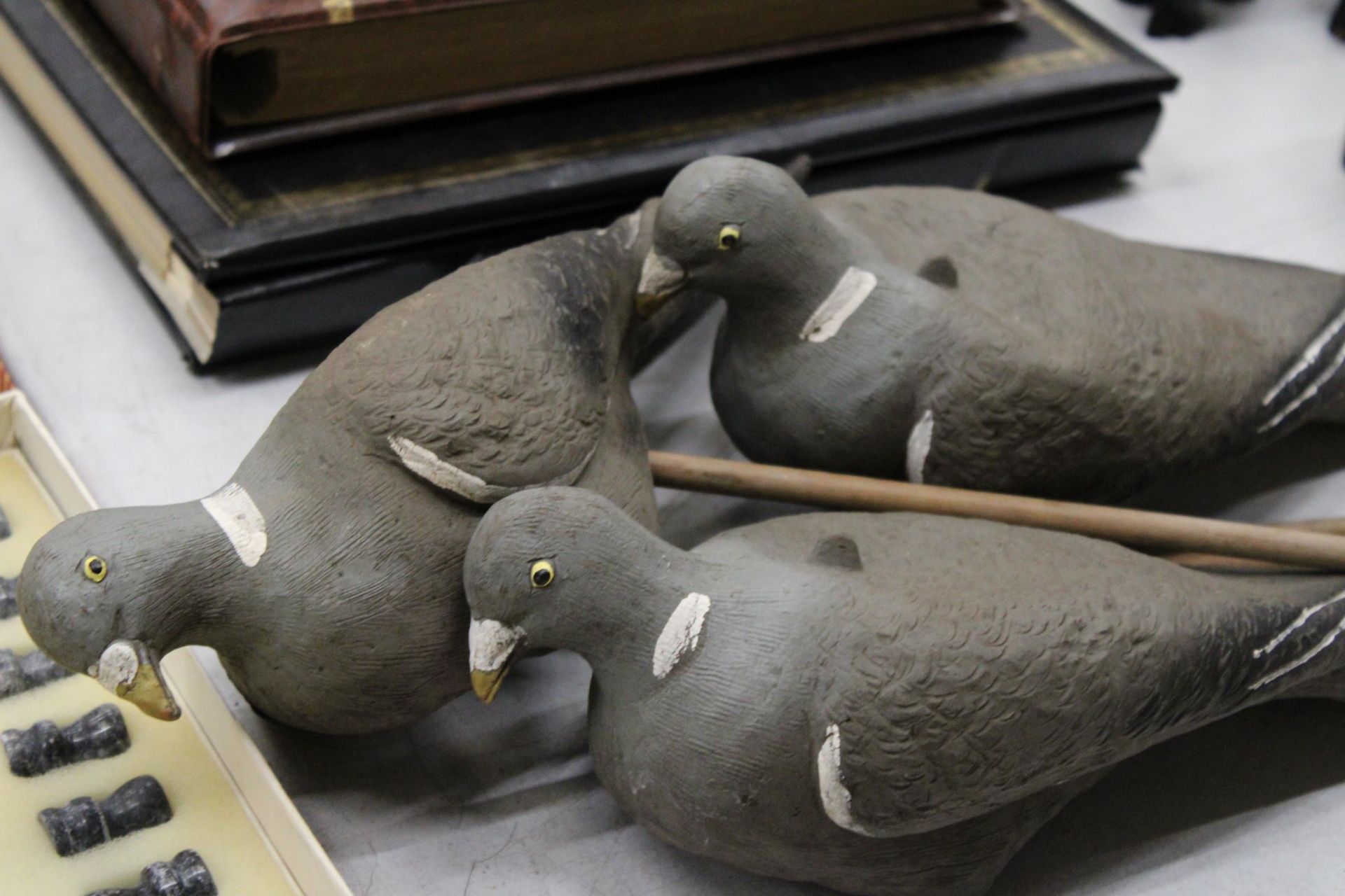 THREE DECOY PIGEONS ON WOODEN MOUNTS - Image 3 of 4