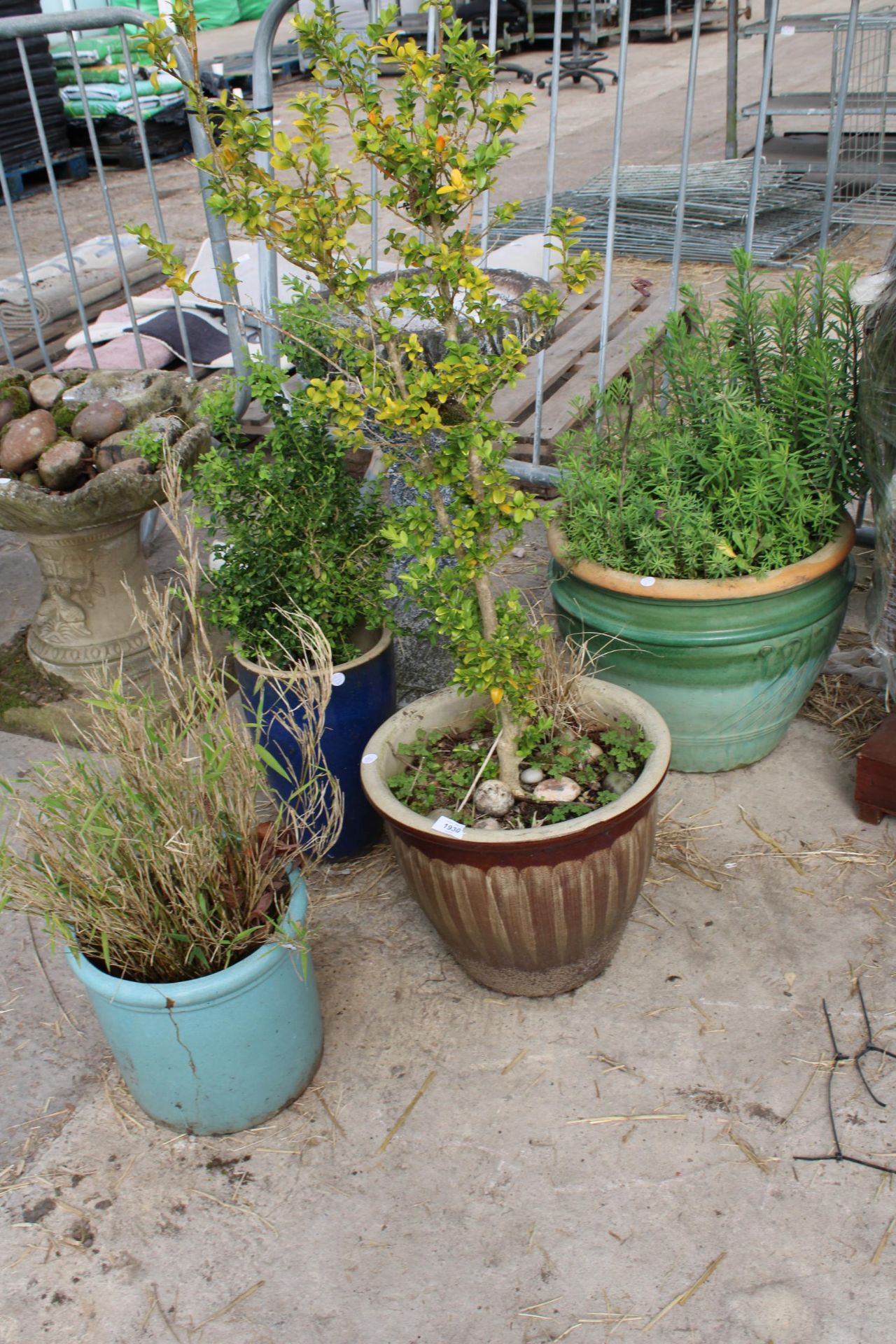 AN ASSORTMENT OF GARDEN ITEMS TO INCLUDE THREE GLAZED POTS AND A CONCRETE BIRDBATH - Image 2 of 3