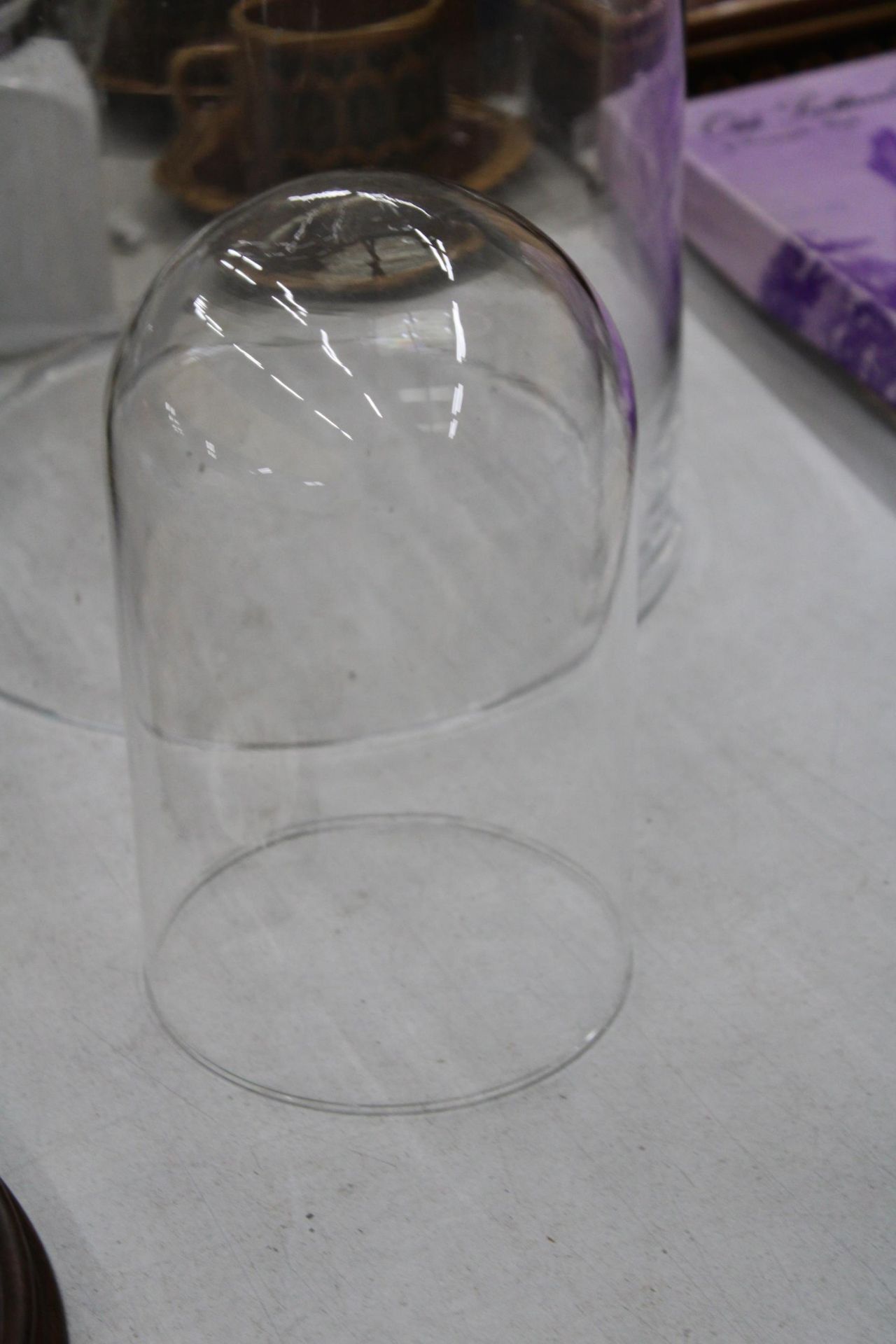 TWO GLASS DOMES, HEIGHTS 57CM AND 20CM - Image 2 of 4