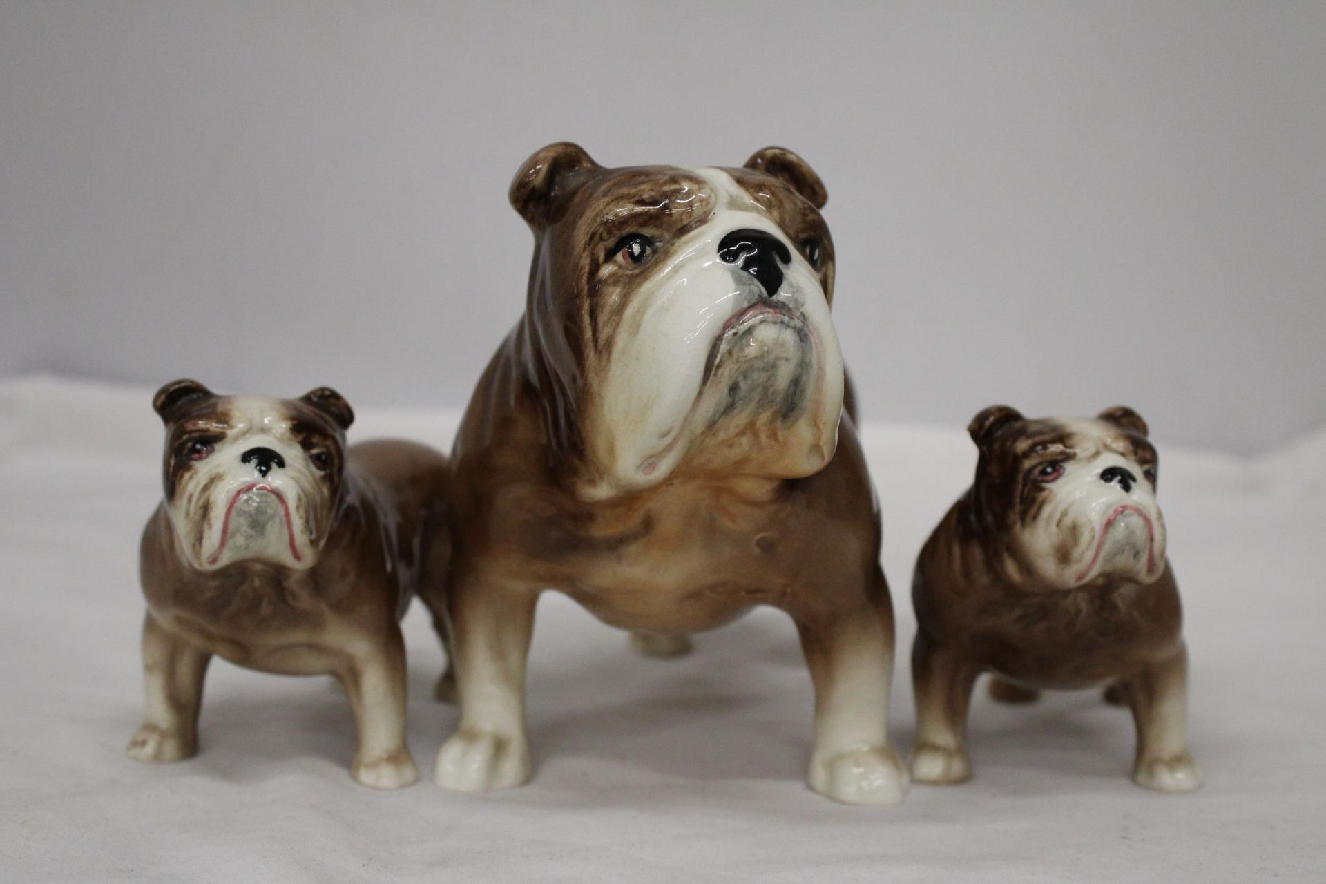 THREE VINTAGE SYLVAC BRITISH BULLDOGS - LARGE (TAIL A/F), TWO SMALL (ONE TAIL A/F) - Image 3 of 7