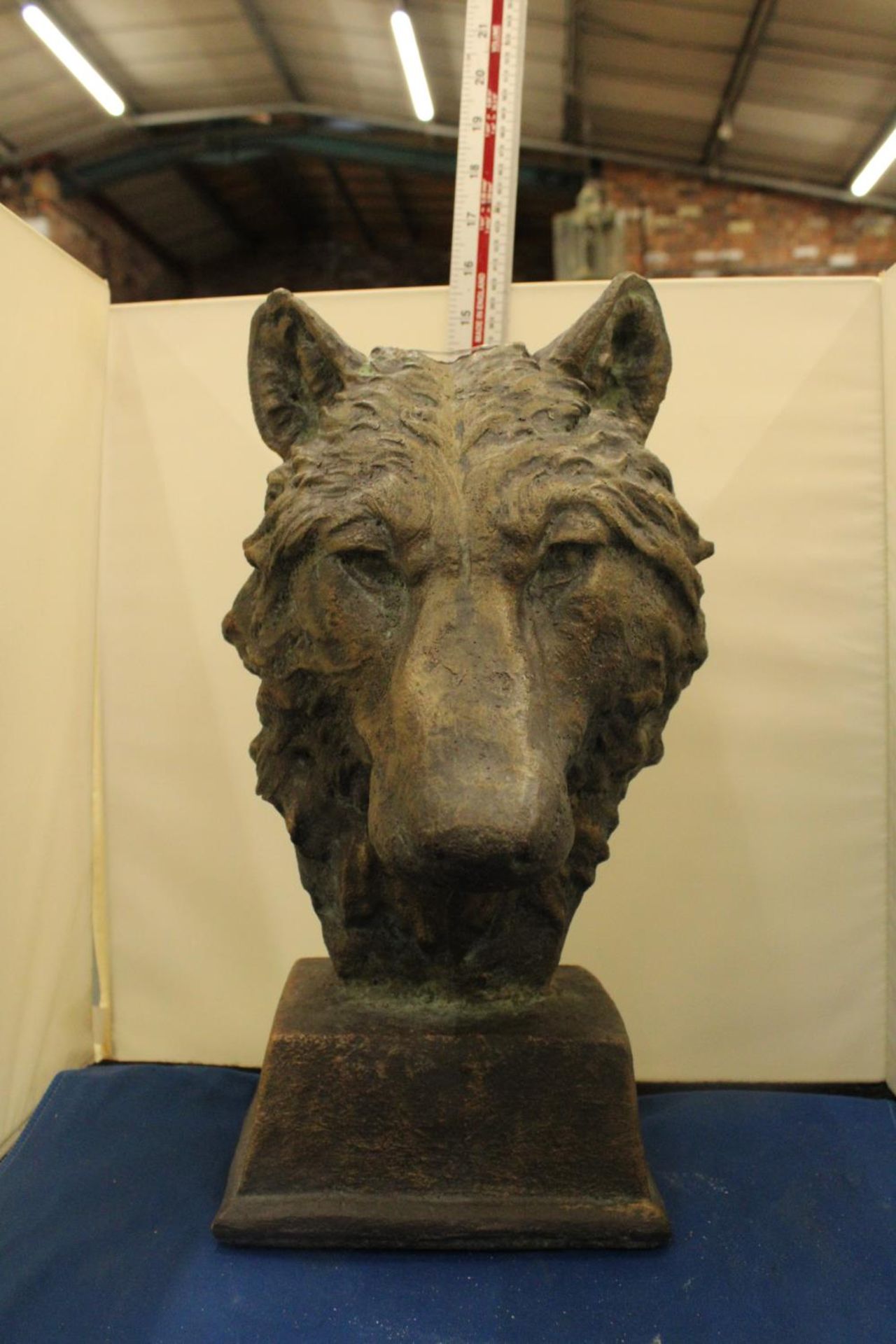 A LARGE BRONZED BUST OF A WOLF SIGNED TO THE BACK - Bild 5 aus 5