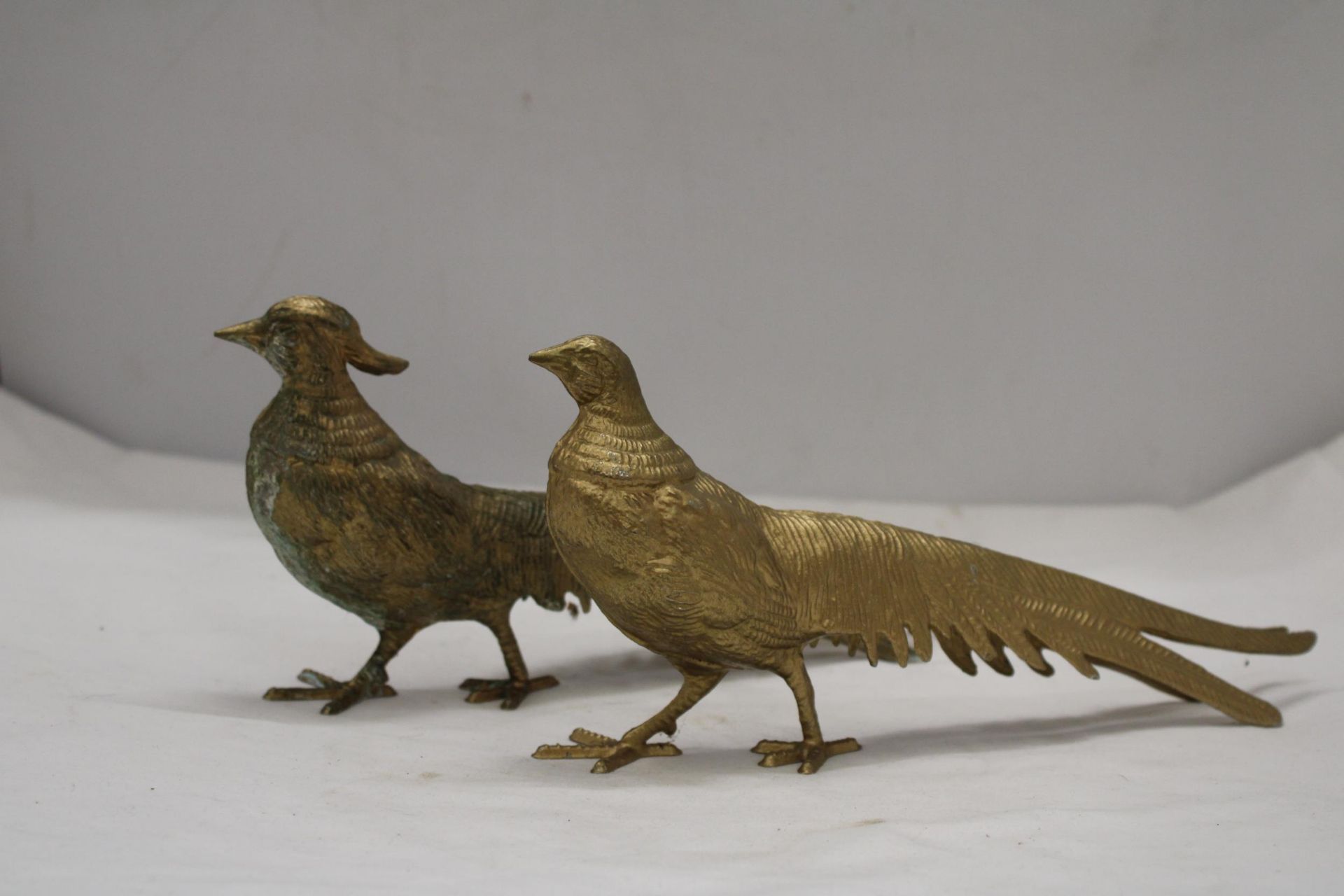 A PAIR OF COCK AND HEN PHEASANTS, HEIGHT 12CM, LENGTH 28CM - Image 2 of 5