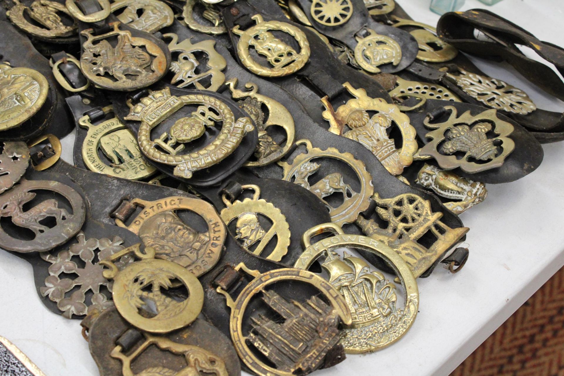 A LARGE COLLECTION OF HORSE BRASSES ON LEATHER STRAPS - Image 6 of 6