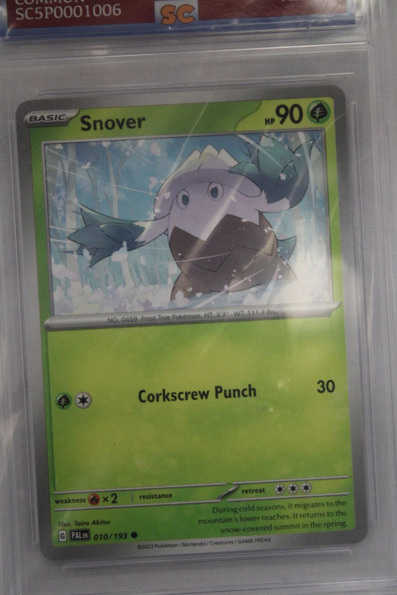 A GRADED POKEMON CARD 10/10 SNOVER - Image 4 of 4