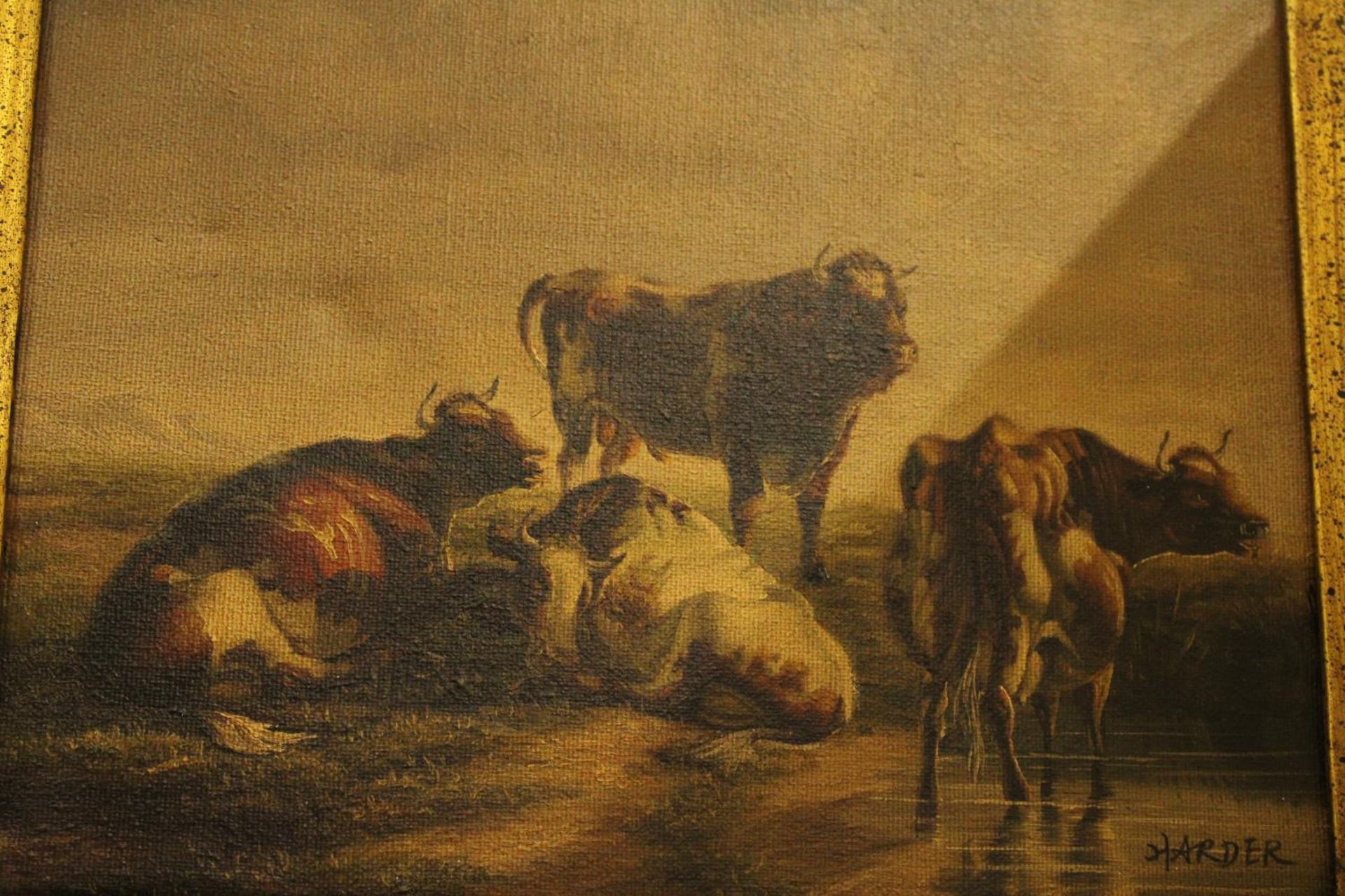A GILT FRAMED OIL ON CANVAS SIGNED HARDER OF THREE COWS AND A BULL RESTING 19" X 25" - Image 4 of 6