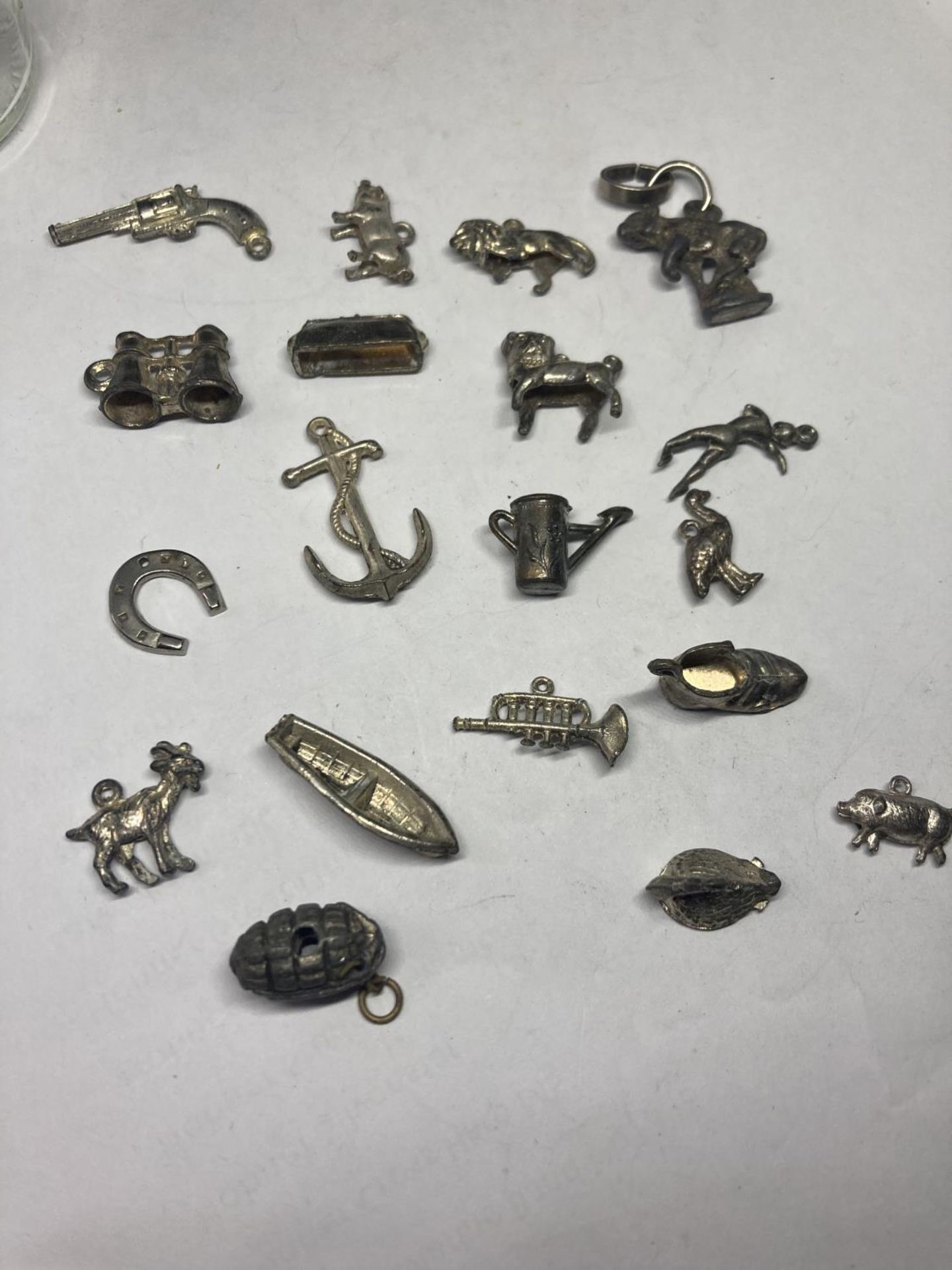 NINETEEN VARIOUS CHARMS SOME SILVER