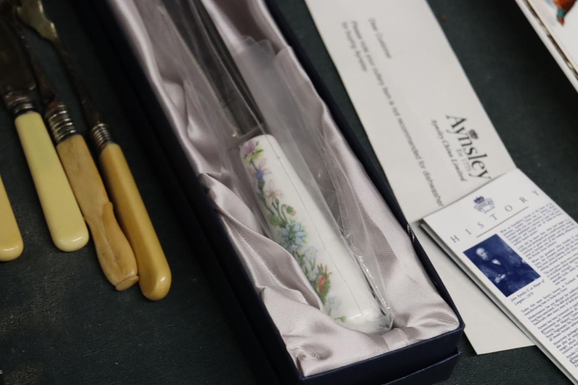 A QUANTITY OF BOXED FLATWARE TO INCLUDE ACARVING SET, AYNSLEY CAKE KNIFE, WOODEN NAPKIN RINGS, ETC - Image 5 of 6