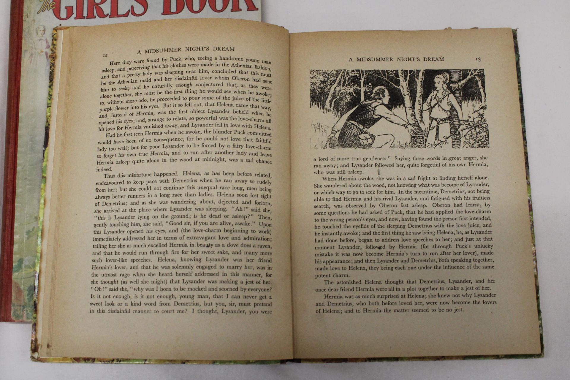 TWO VINTAGE HARDBACK CHILDREN'S BOOKS, 'THE GIRL'S BOOK OF HEROINES' AND 'LAMB'S TALES FROM - Image 5 of 8