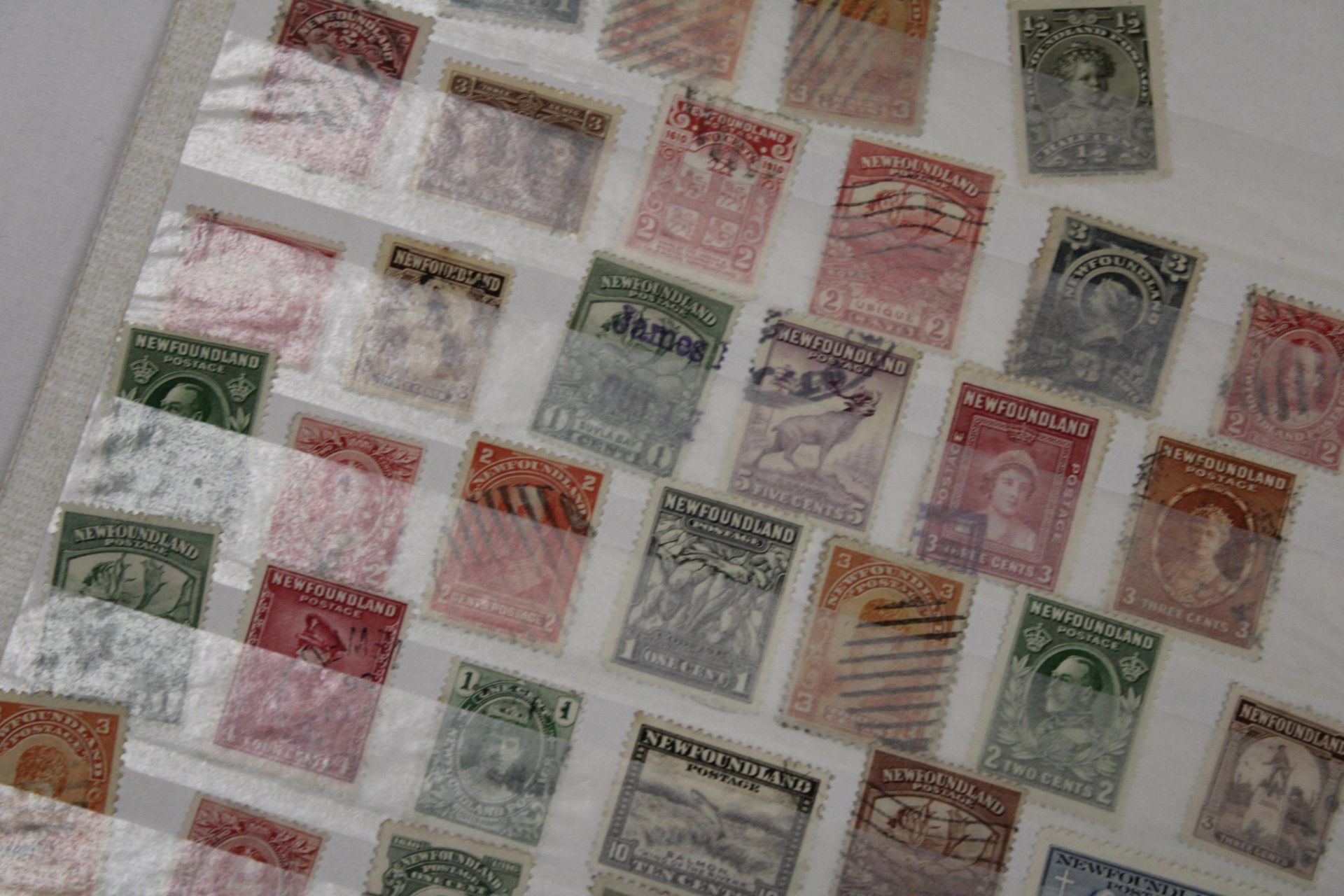 TWO PAGES OF NEWFOUNDLAND STAMPS - Bild 3 aus 4