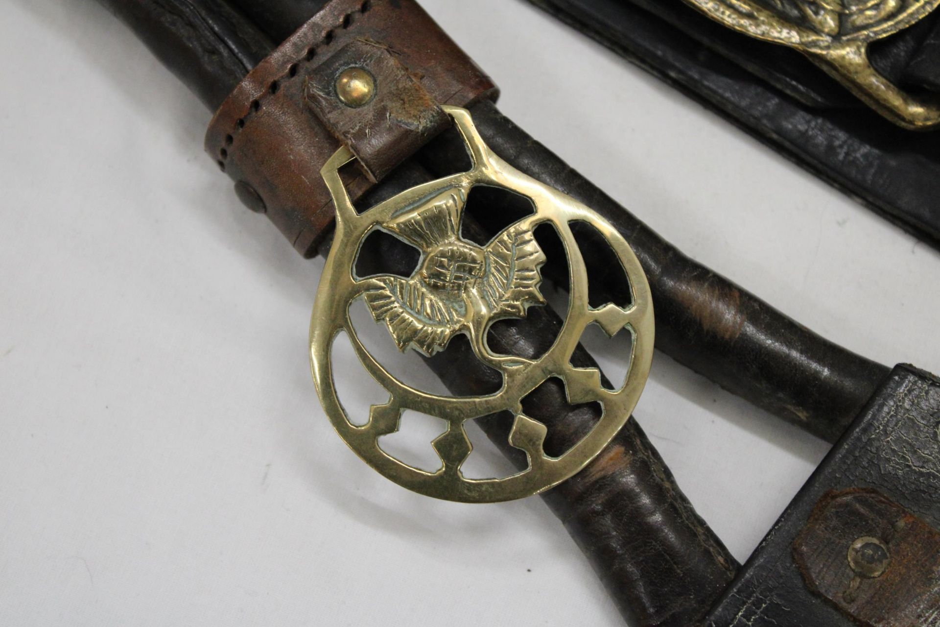 TWO HORSE BRASSES ON LEATHER STRAPS - Image 6 of 6