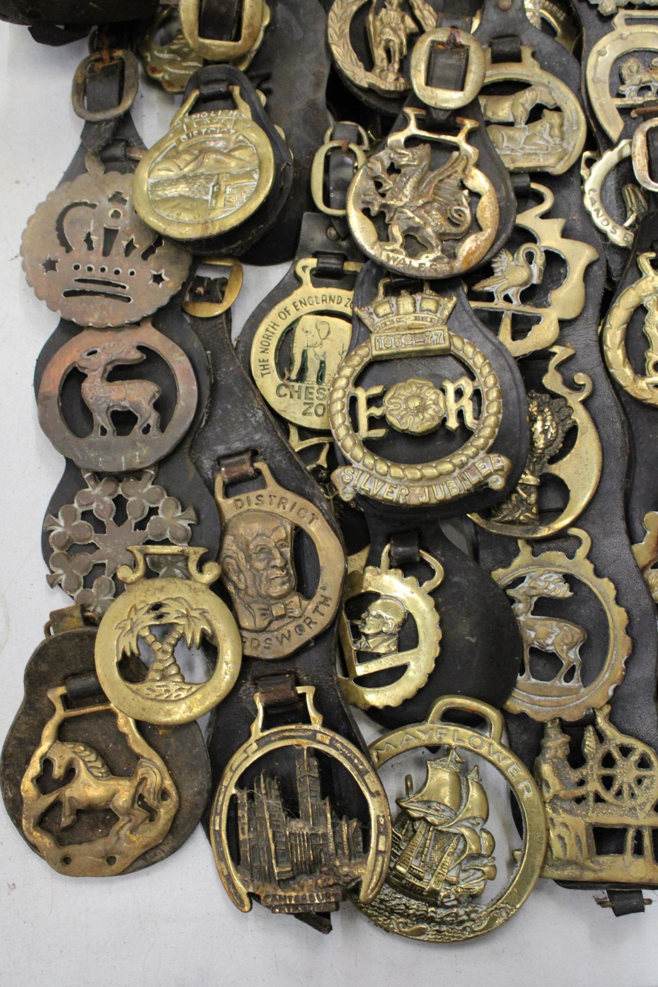 A LARGE COLLECTION OF HORSE BRASSES ON LEATHER STRAPS - Image 5 of 6