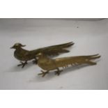 A PAIR OF COCK AND HEN PHEASANTS, HEIGHT 12CM, LENGTH 28CM