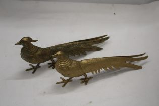 A PAIR OF COCK AND HEN PHEASANTS, HEIGHT 12CM, LENGTH 28CM