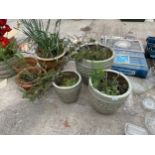 AN ASSORTMENT OF GARDEN POTS TO INCLUDE FOUR GLAZED AND THREE TERRACOTTA
