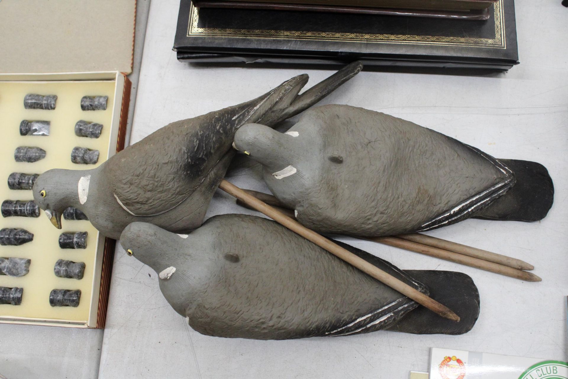 THREE DECOY PIGEONS ON WOODEN MOUNTS - Image 4 of 4