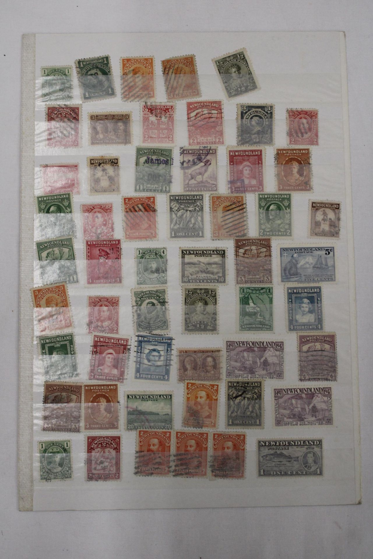 TWO PAGES OF NEWFOUNDLAND STAMPS - Bild 2 aus 4