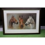 A FRAMED PRINT OF RACEHORSES, ARKLE, RED RUM AND DESERT ORCHID, 'WE THREE KINGS, 84CM X 60CM