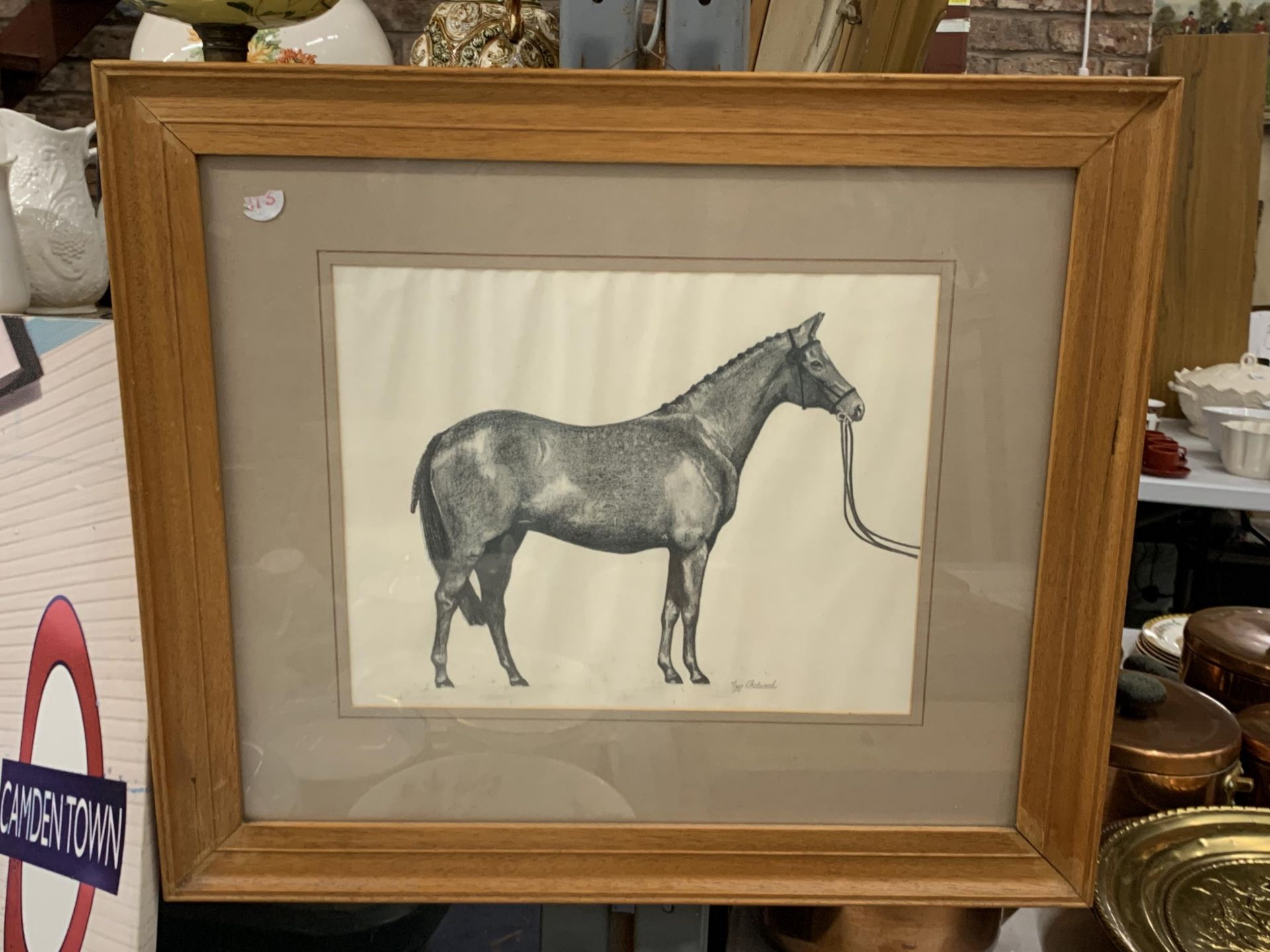 A PENCIL DRAWING OF A HORSE, SIGNED FAY CHETWOOD, FRAMED