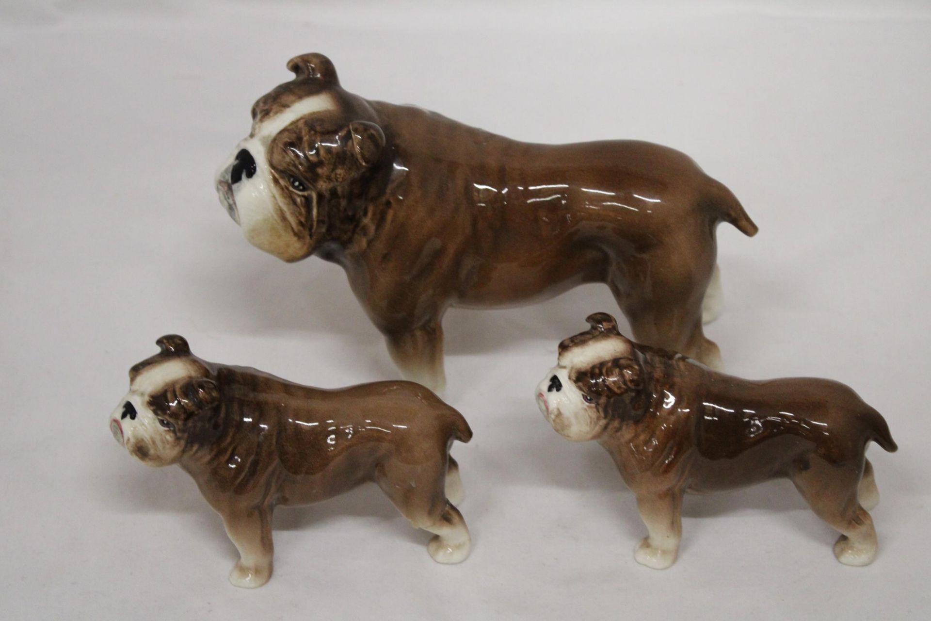 THREE VINTAGE SYLVAC BRITISH BULLDOGS - LARGE (TAIL A/F), TWO SMALL (ONE TAIL A/F)