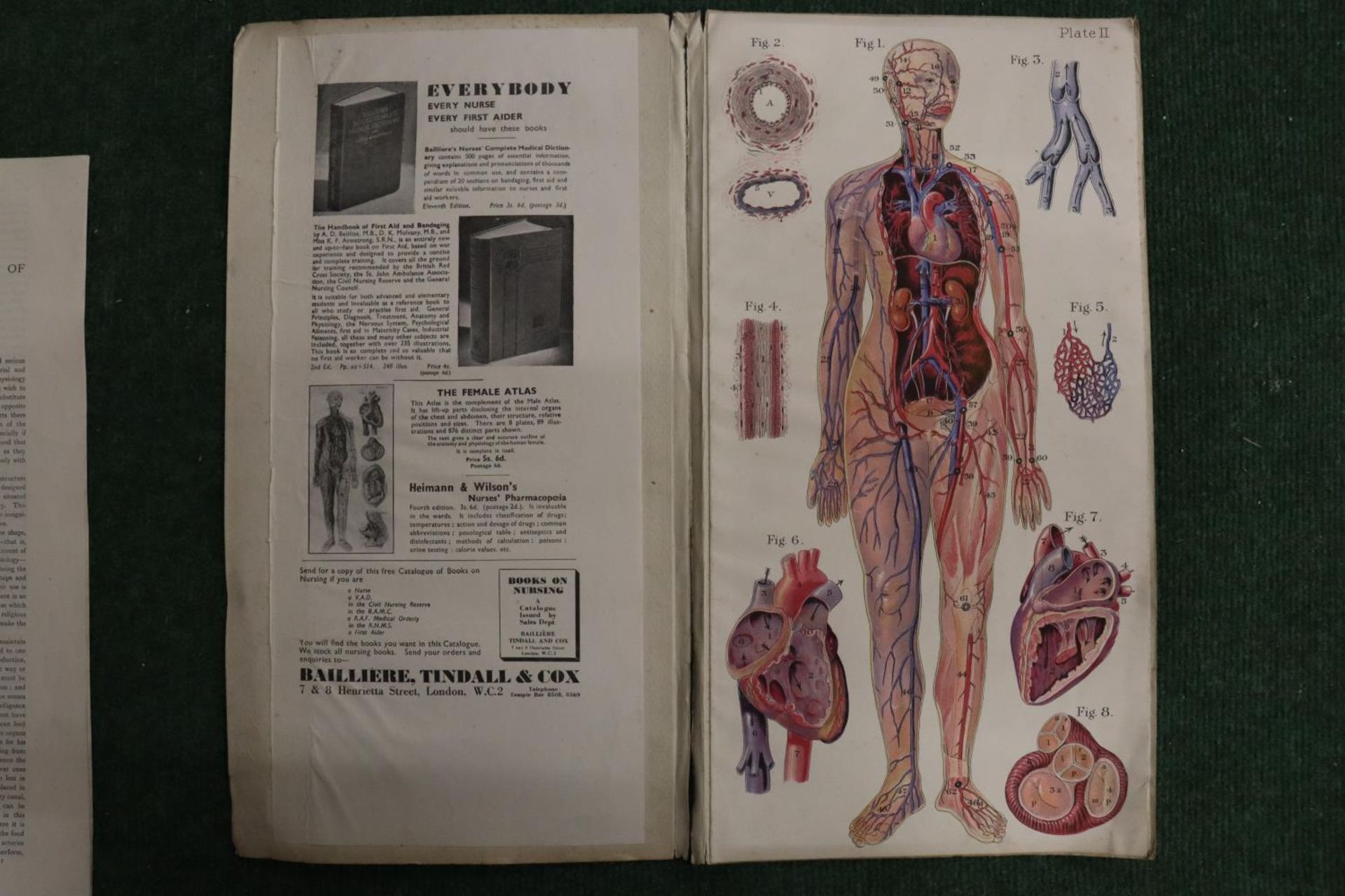 A VINTAGE BAILLIERE'S POPULAR ATLAS OF THE ANATOMY AND PHYSIOLOGY OF THE FEMALE HUMAN BODY BY HUBERT - Bild 3 aus 4