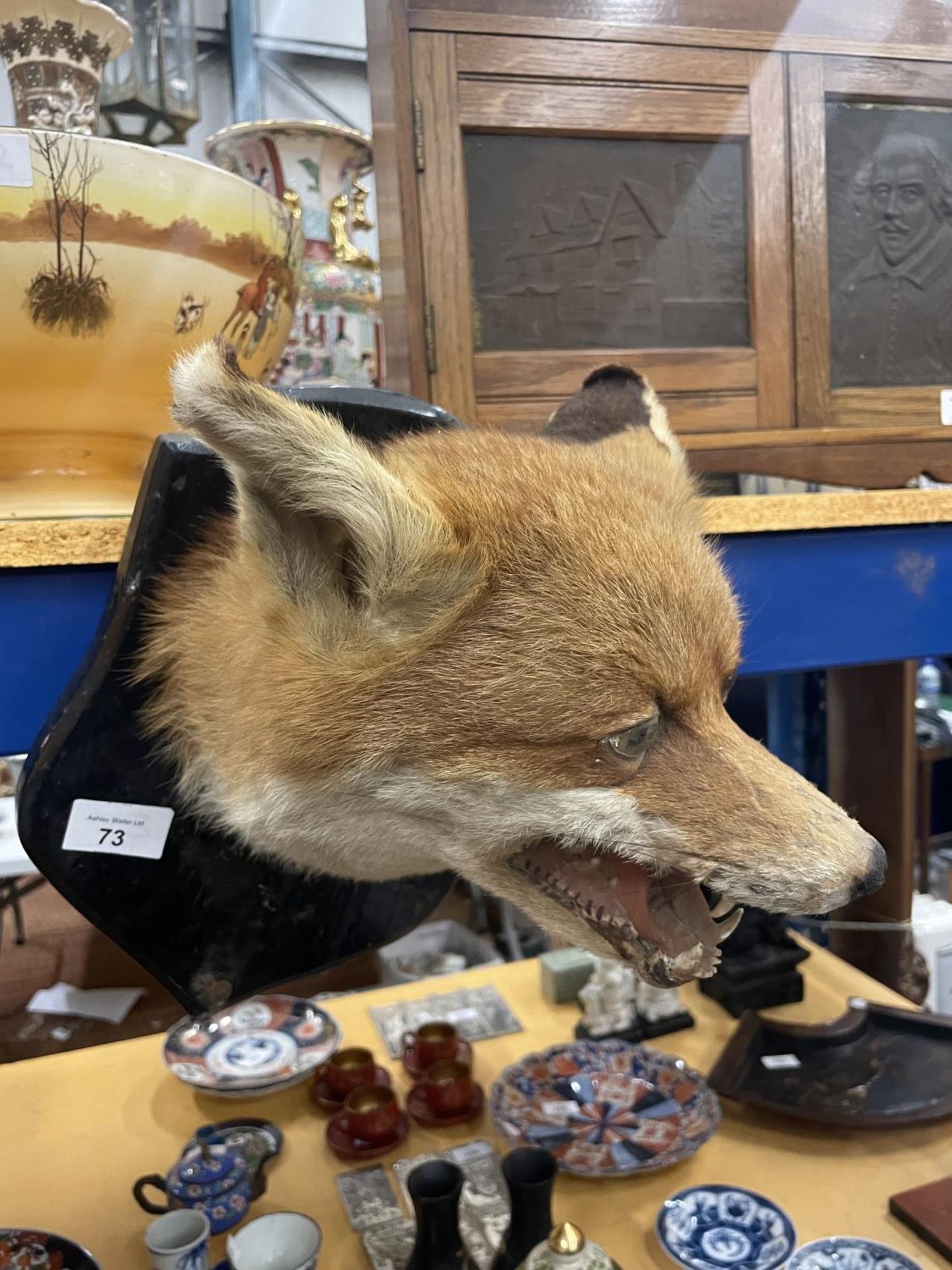 A TAXIDERMY FOX HEAD ON A WOODEN MOUNT - Bild 2 aus 3