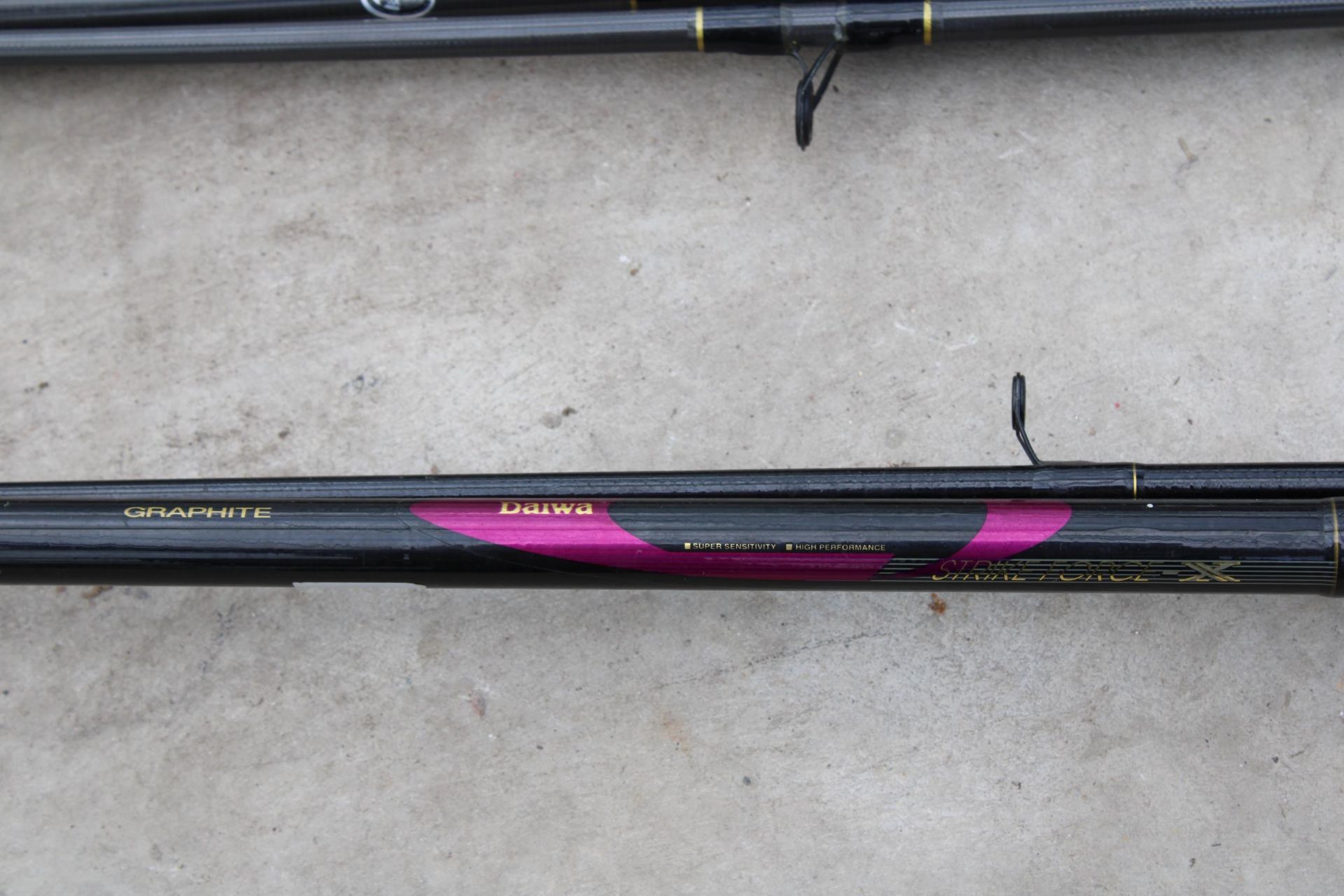 TWO CARP FISHING RODS TO INCLUDE AN ELEVEN FOOT CARBON STORM ROD AND A DAIWA GRAPHITE ROD - Image 2 of 3