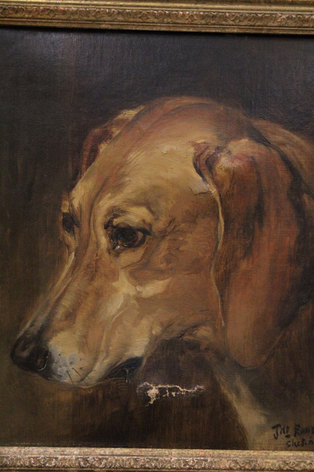 A OIL ON CANVAS IN GOLD GILT FRAME - PORTRAIT OF A DOG - SIGNED JED EMIYS - Image 2 of 4