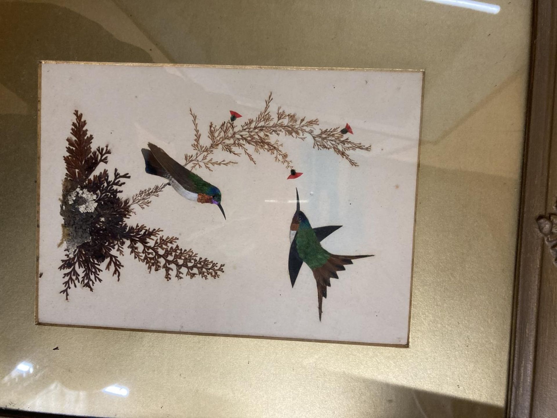 A FRAMED COLLAGE OF BIRDS COMPOSED OF FEATHERS AND PRESSED FOLIAGE 10" X 13" - Image 2 of 5