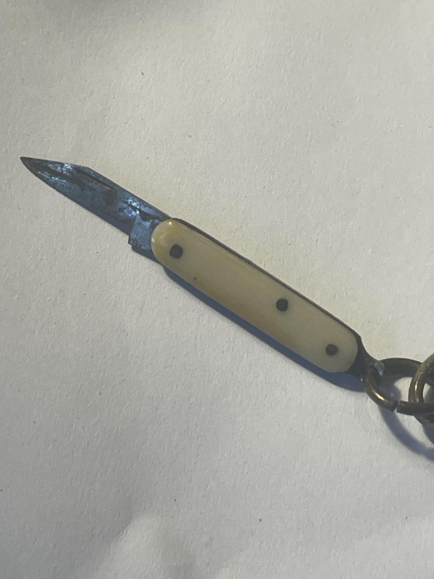 AN ANTIQUE PAIR OF MINIATURE SCISSORS IN A STORK DESIGN AND PEN KNIFE WITH A BROWN CASE LABELLED - Image 4 of 4