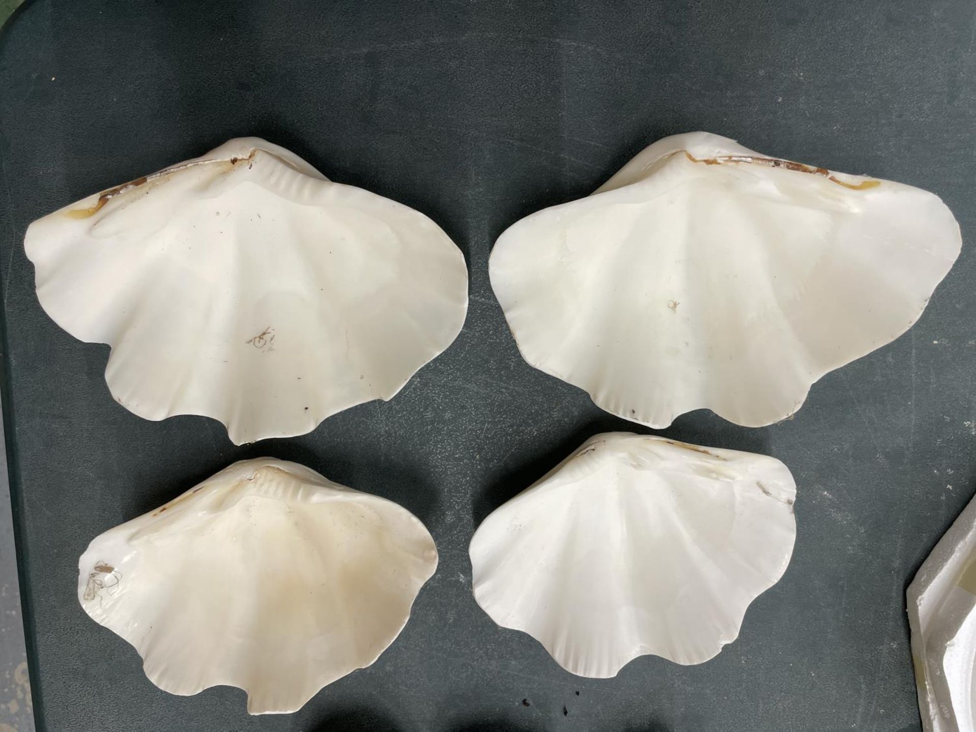 FOUR CLAM SHELL DISHES