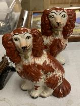 A PAIR OF STAFFORDSHIRE DOGS - APPROXIMATELY 19CM HIGH