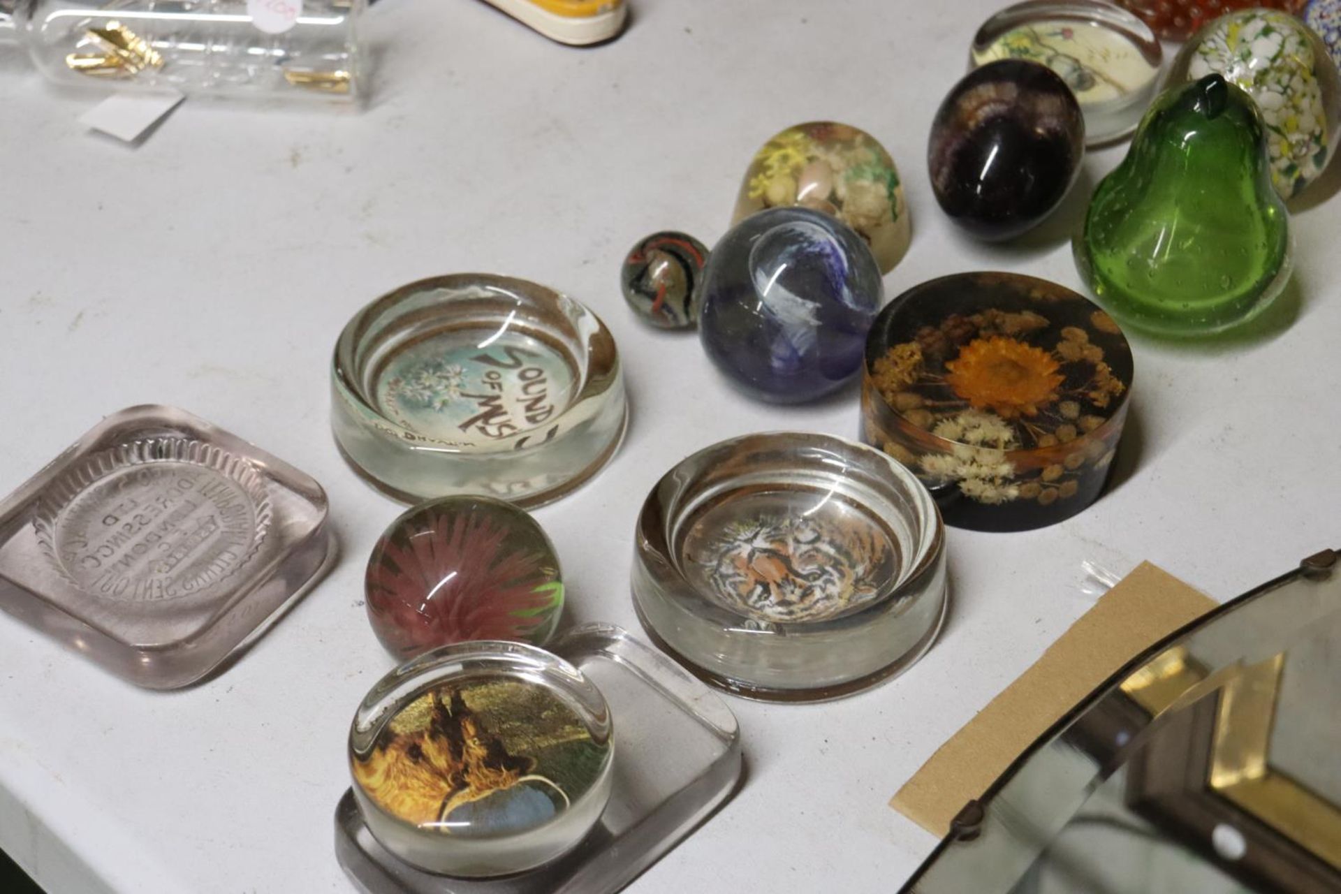 A LARGE QUANTITY OF PAPERWEIGHTS - Image 6 of 6