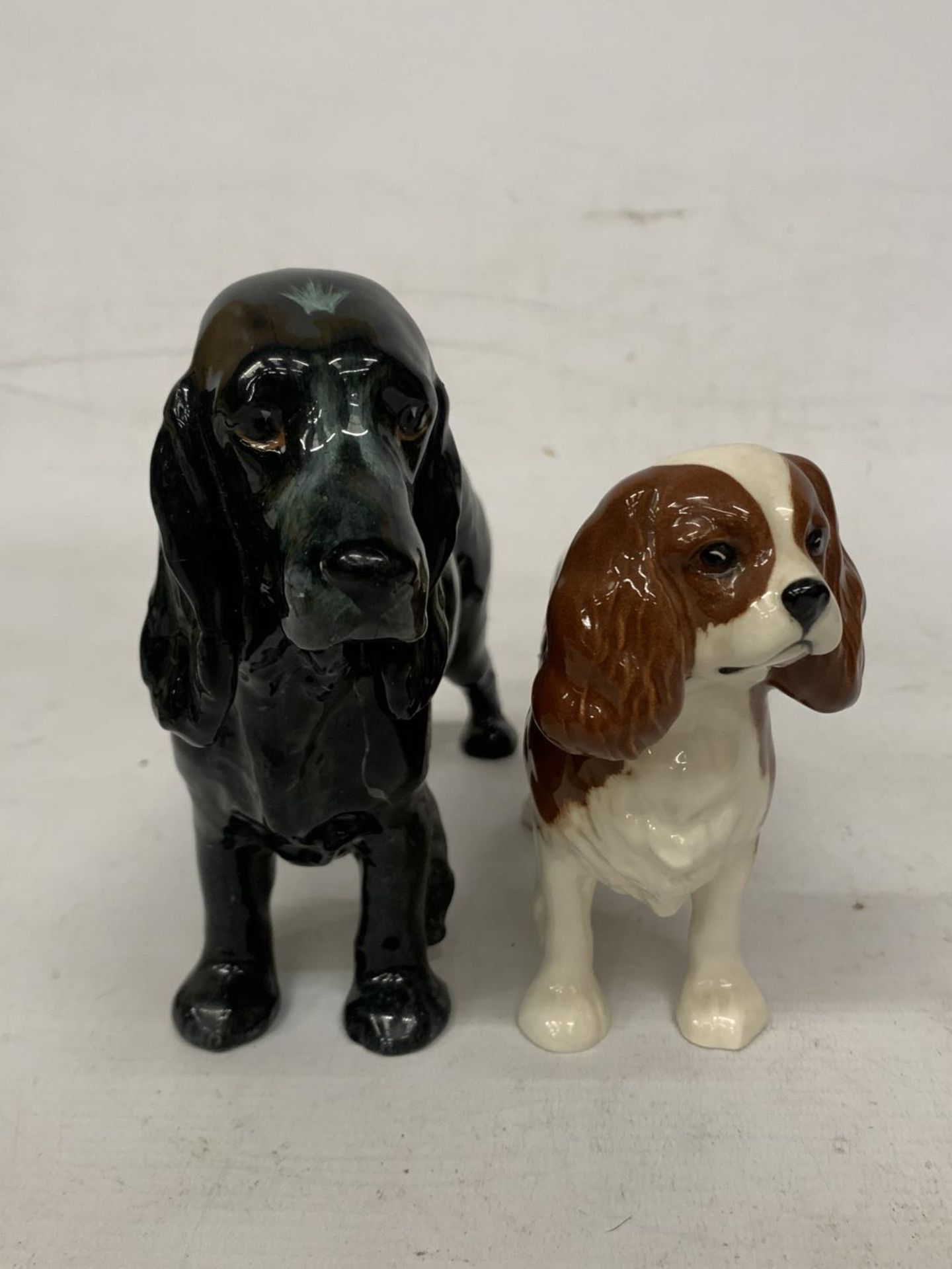 A ROYAL DOULTON FIOGURE OF A BLACK COCKER SPANIEL "LUCKY STAR OF WARE" (A/F) TOGETHER WITH A BESWICK - Image 2 of 6