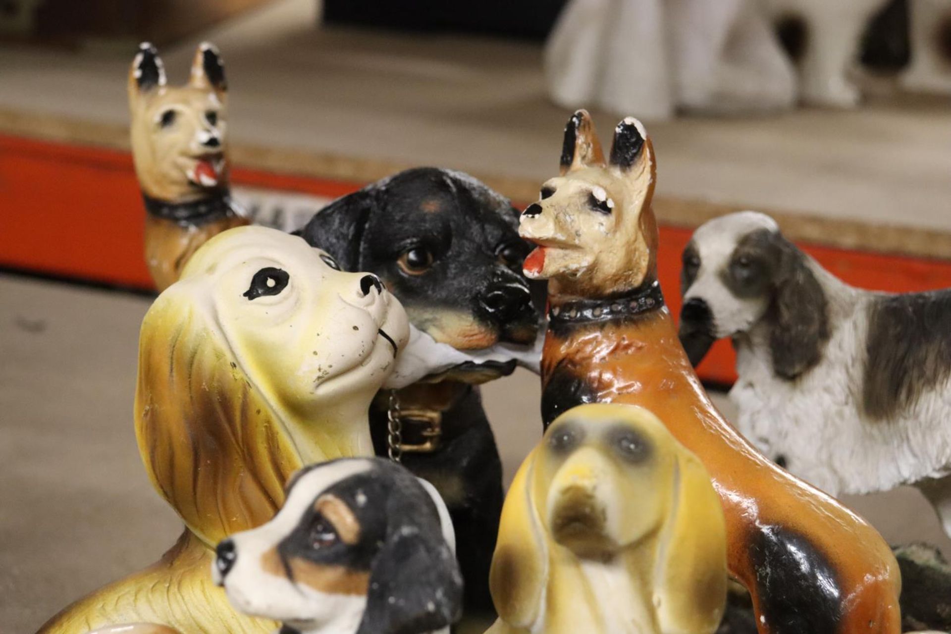 A COLLECTION OF TWELVE DOG FIGURES - Image 6 of 6