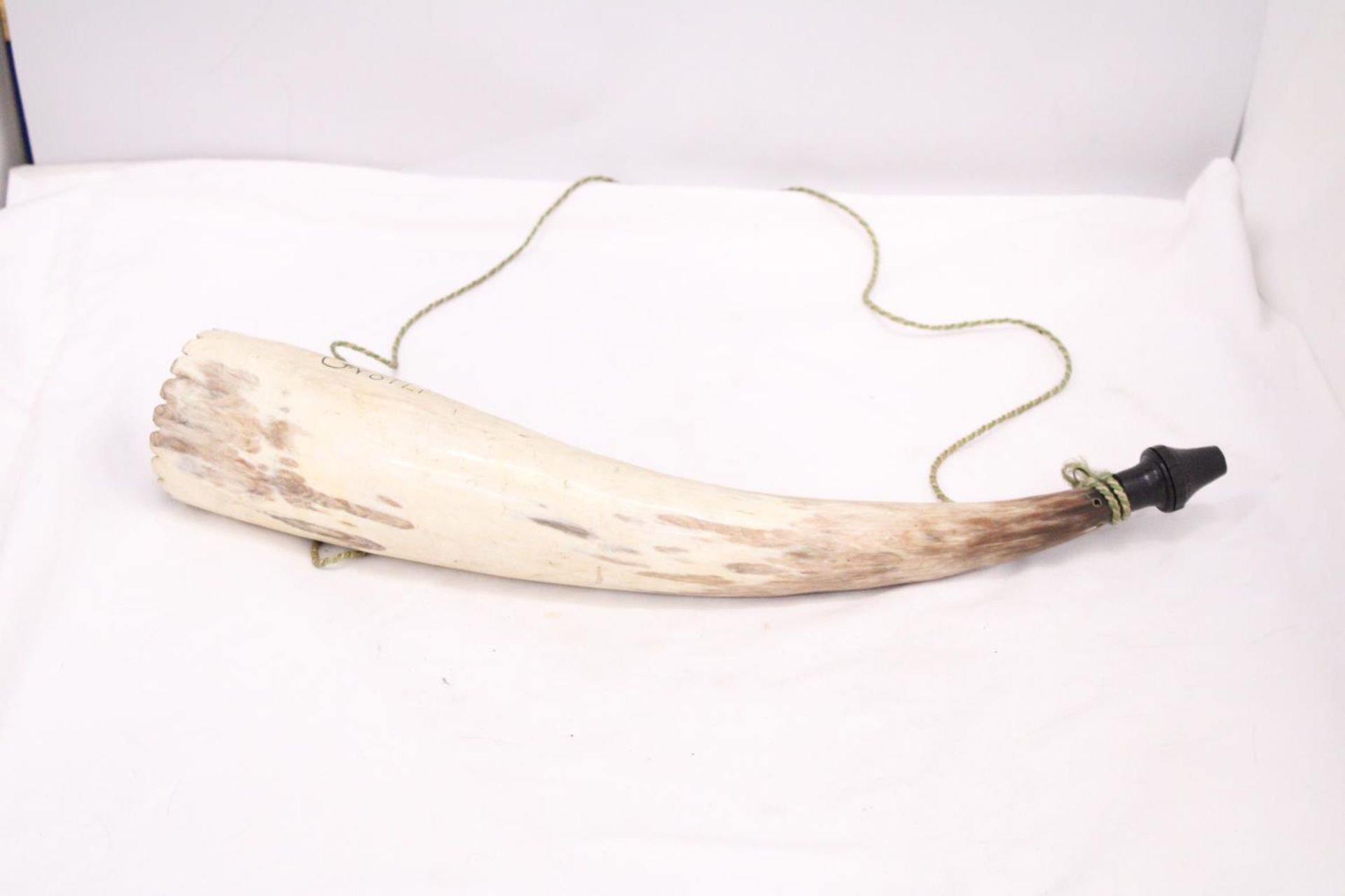 AN ANIMAL HORN "BLOW HORN" - MARKED GROTLI - Image 5 of 5