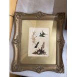 A FRAMED COLLAGE OF BIRDS COMPOSED OF FEATHERS AND PRESSED FOLIAGE 10" X 13"