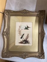 A FRAMED COLLAGE OF BIRDS COMPOSED OF FEATHERS AND PRESSED FOLIAGE 10" X 13"