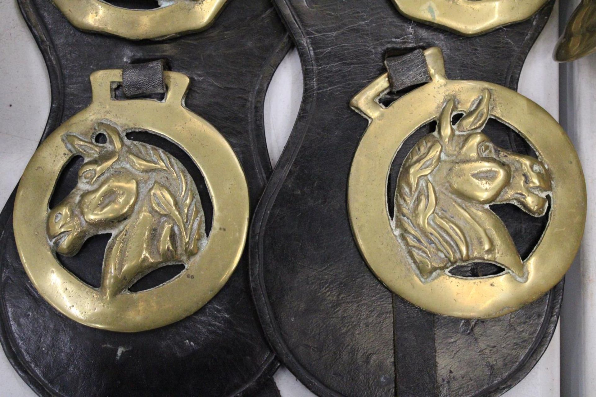 SIX HORSE BRASSES ON LEATHER STRAPS - Bild 4 aus 4