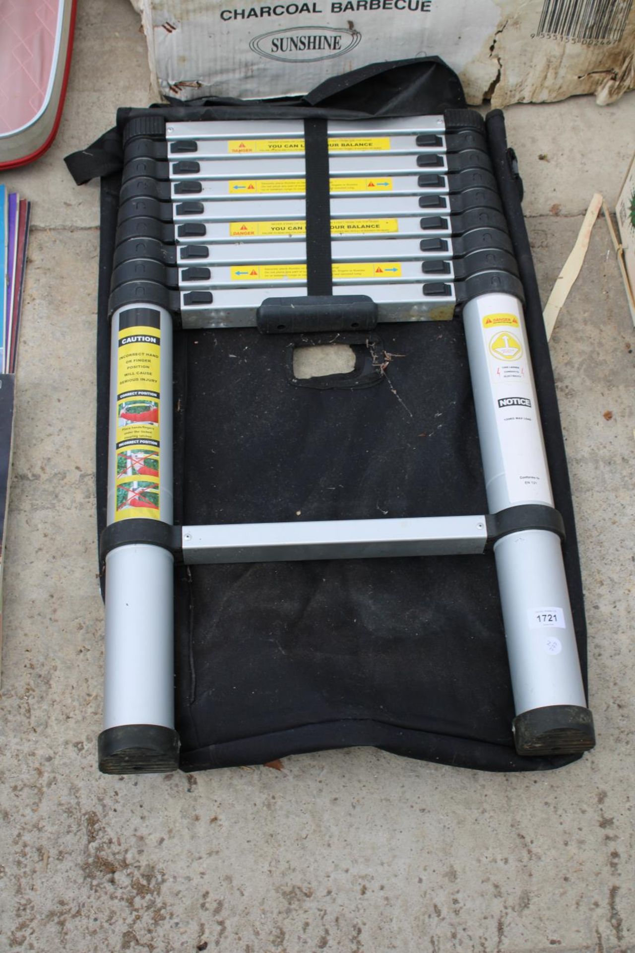 A SET OF TELESCOPIC EXTENDING LADDERS WITH A CARRY CASE