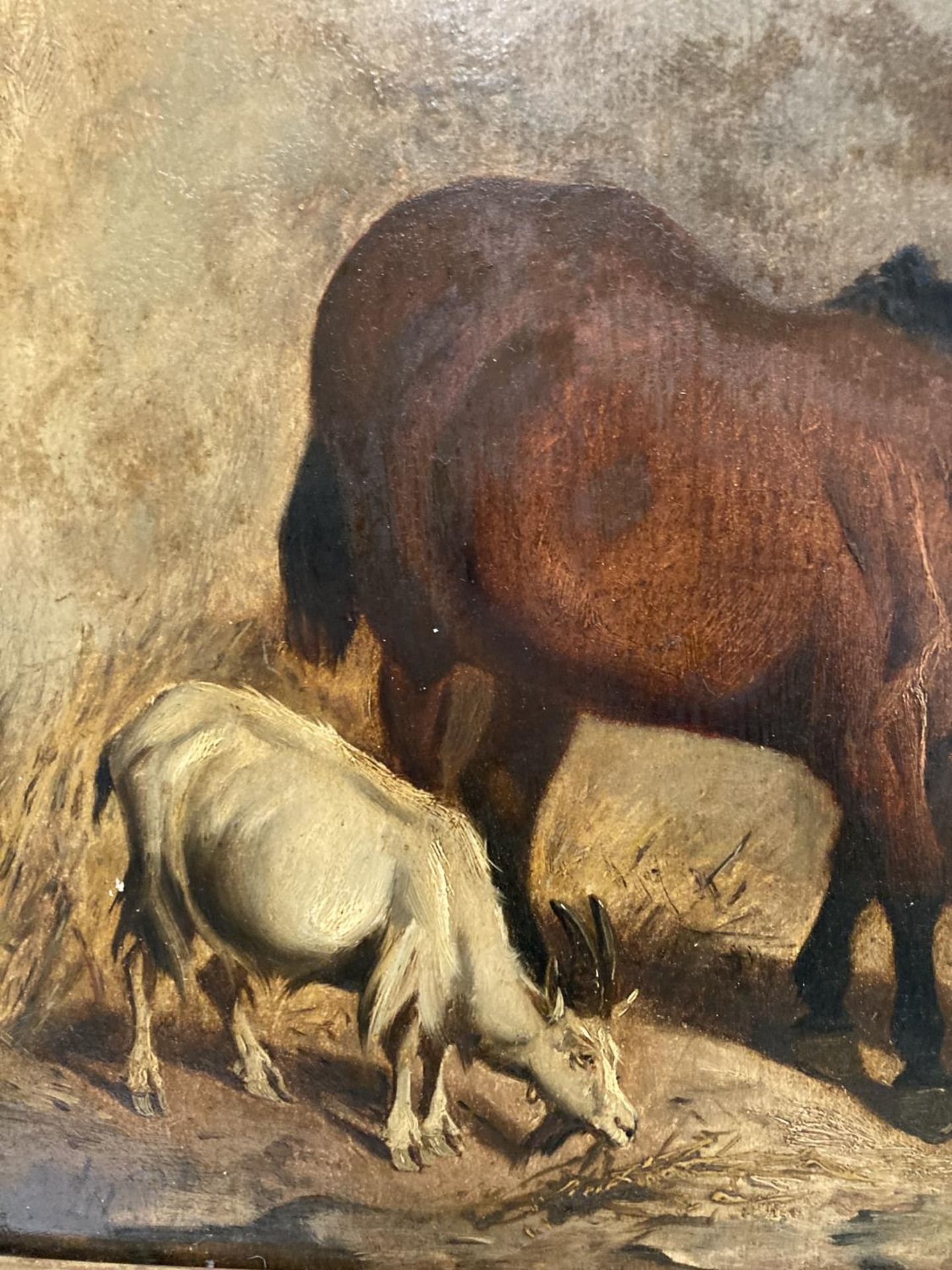 A GILT FRAMED OIL ON BOARD OF A HORSE IN A STABLE WITH TWO GOATS 11" X 15.5" - Image 3 of 4