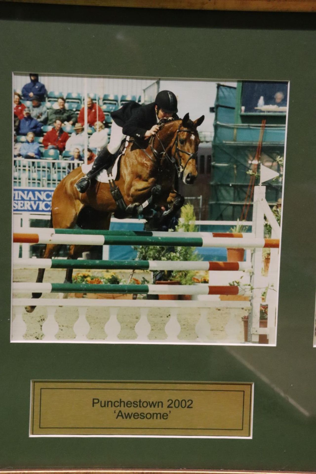 A QUANTITY OF SHOWJUMPING AND EVENTING PHOTOGRAPHS - IN FRAMES - Image 4 of 6