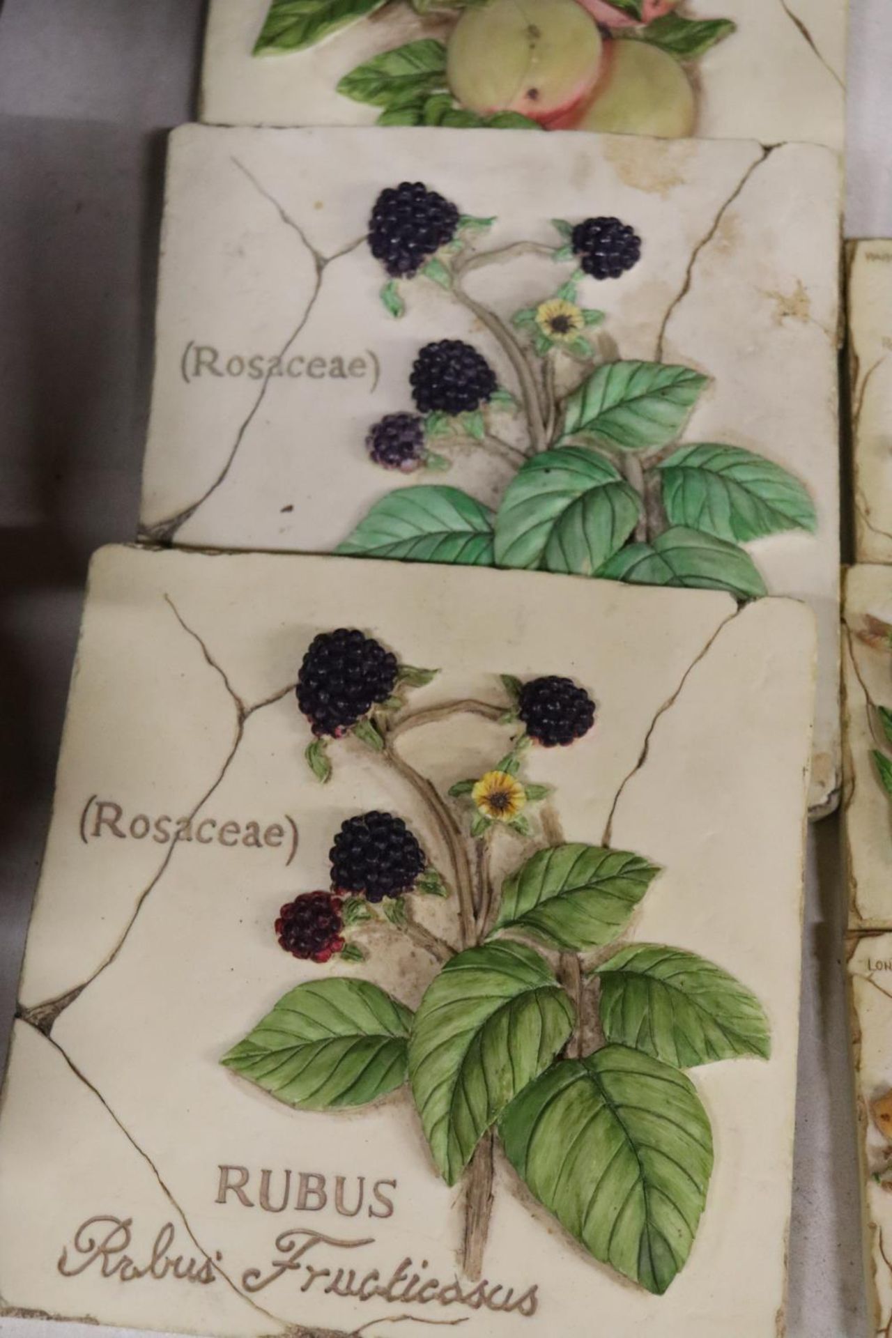 A QUANTITY OF HANDPAINTED, 3-D EFFECT, FRUIT AND VEGETABLE WALL TILES - Image 3 of 6