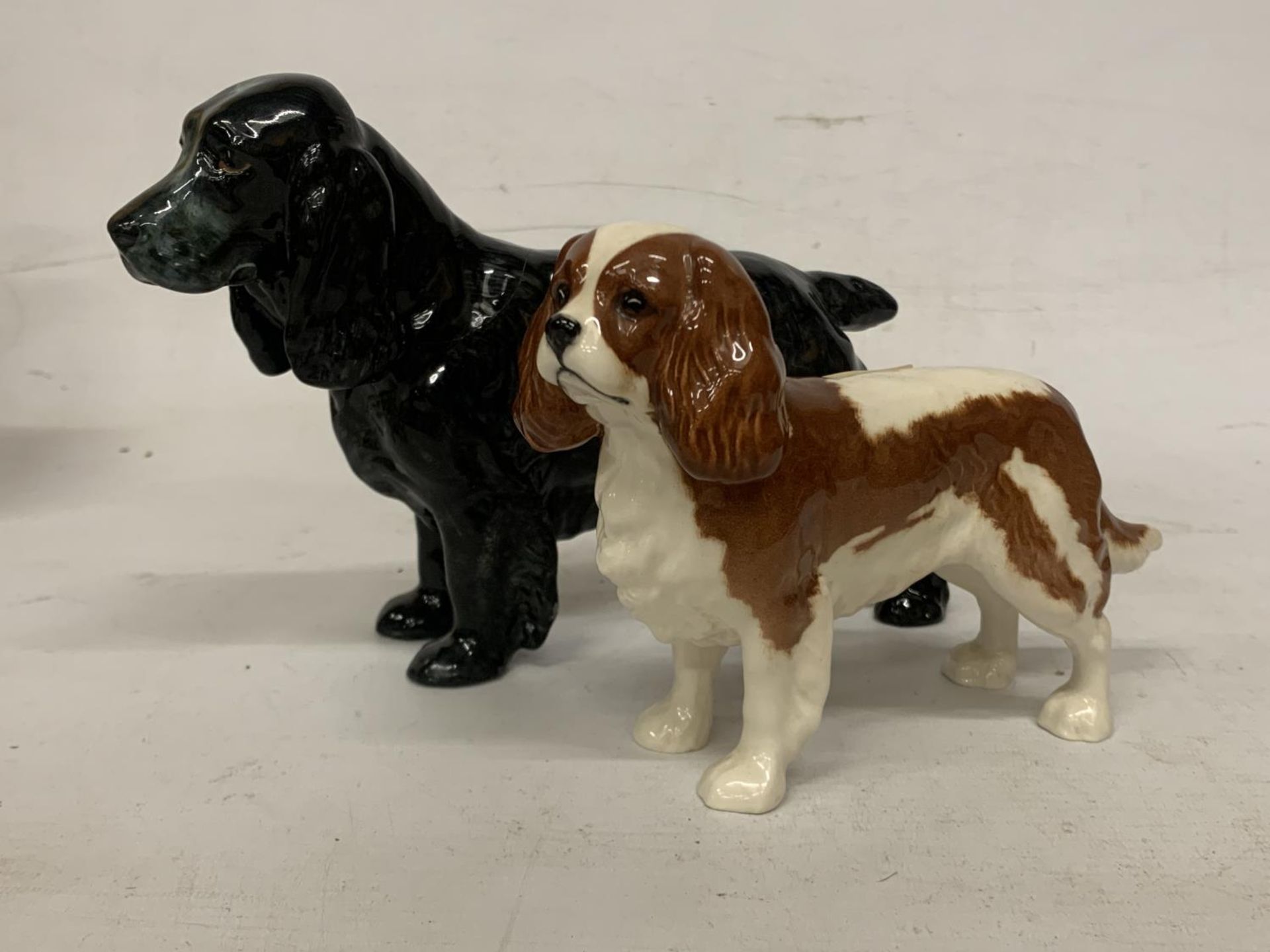 A ROYAL DOULTON FIOGURE OF A BLACK COCKER SPANIEL "LUCKY STAR OF WARE" (A/F) TOGETHER WITH A BESWICK