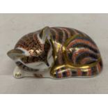A ROYAL CROWN DERBY SLEEPING CAT (FIRSTS)
