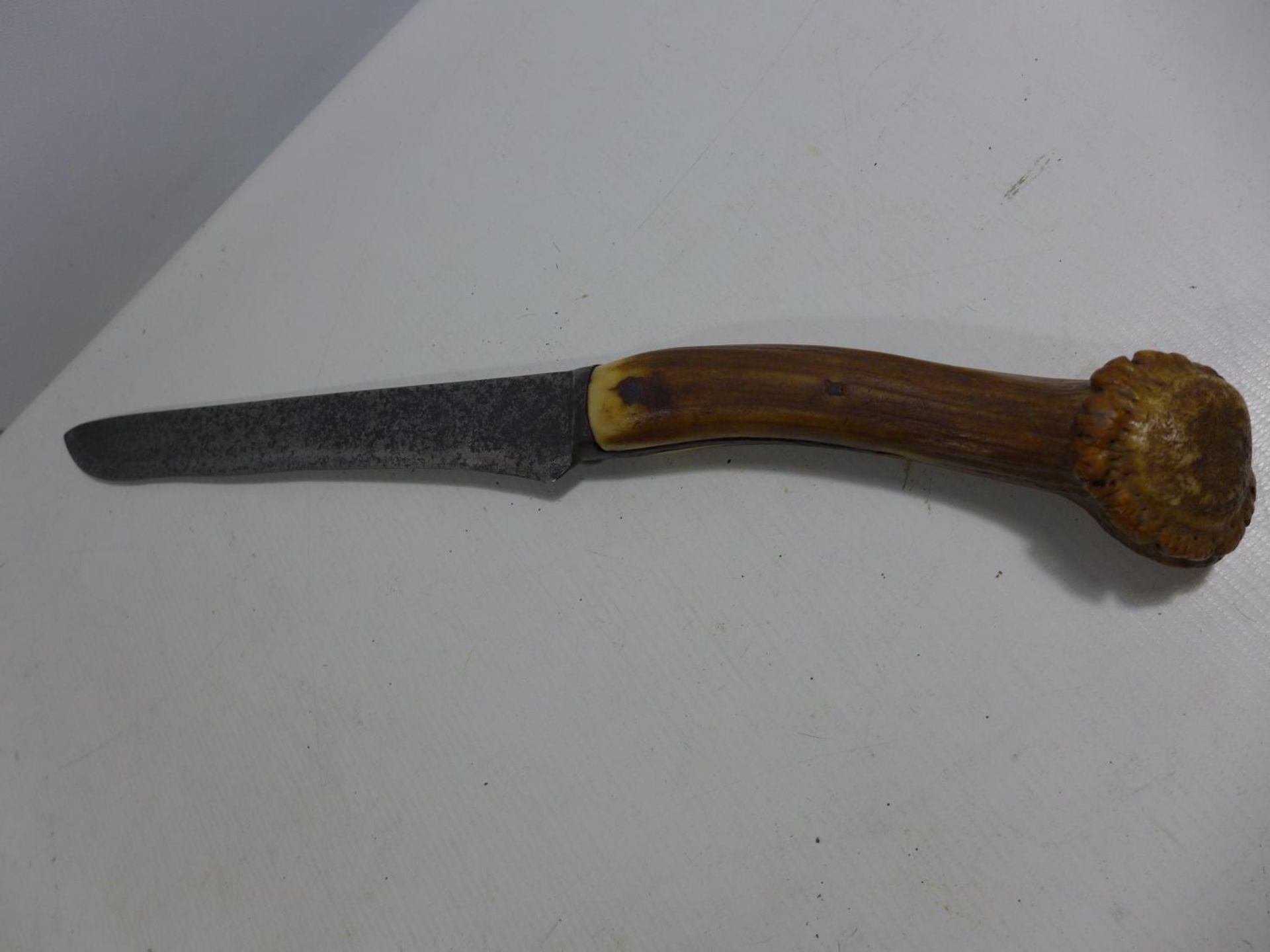 A VINTAGE STAGHORN HANDLED KNIFE 25CM BLADE, LENGTH 41CM - Image 3 of 4