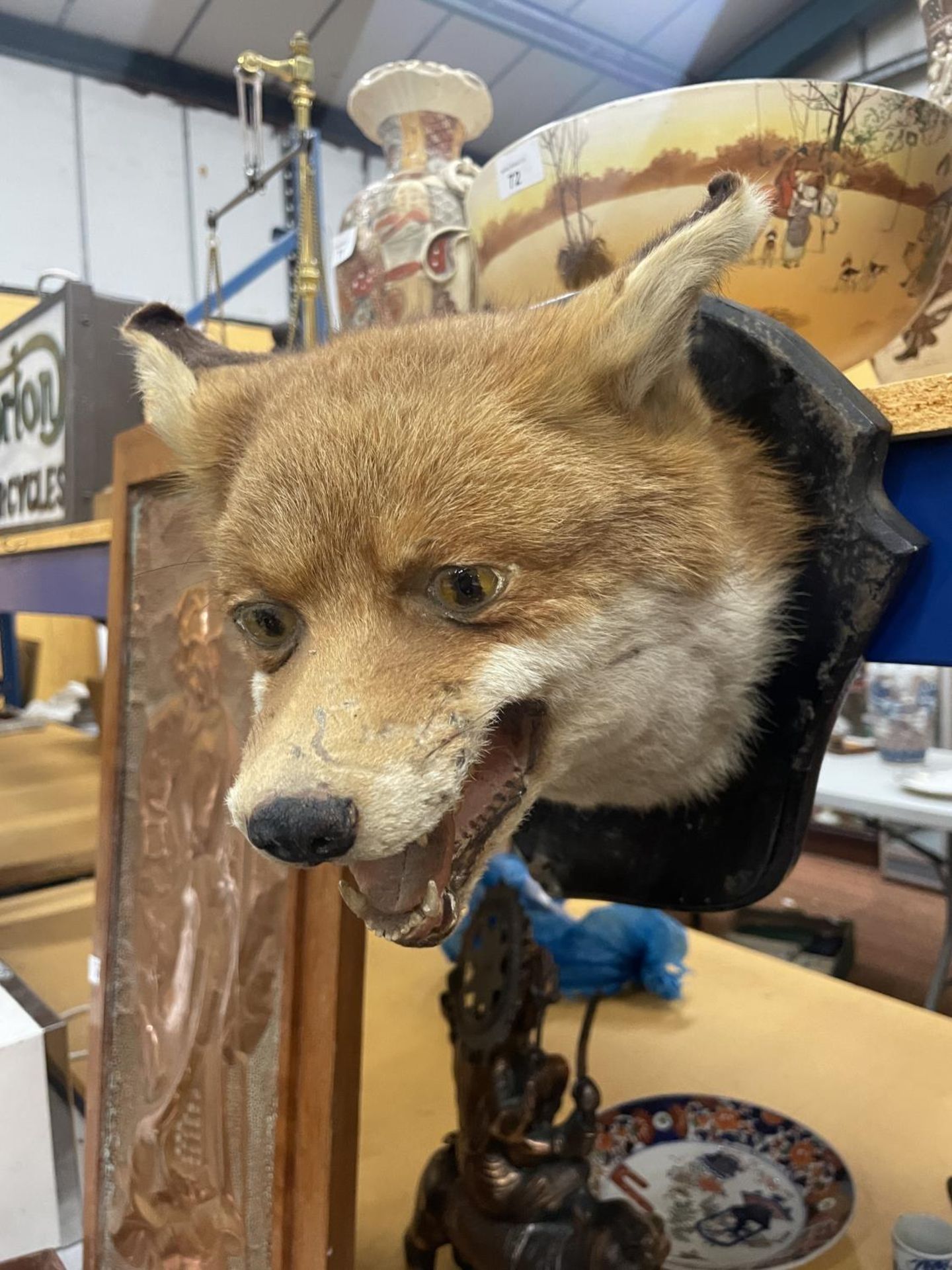 A TAXIDERMY FOX HEAD ON A WOODEN MOUNT - Image 3 of 3