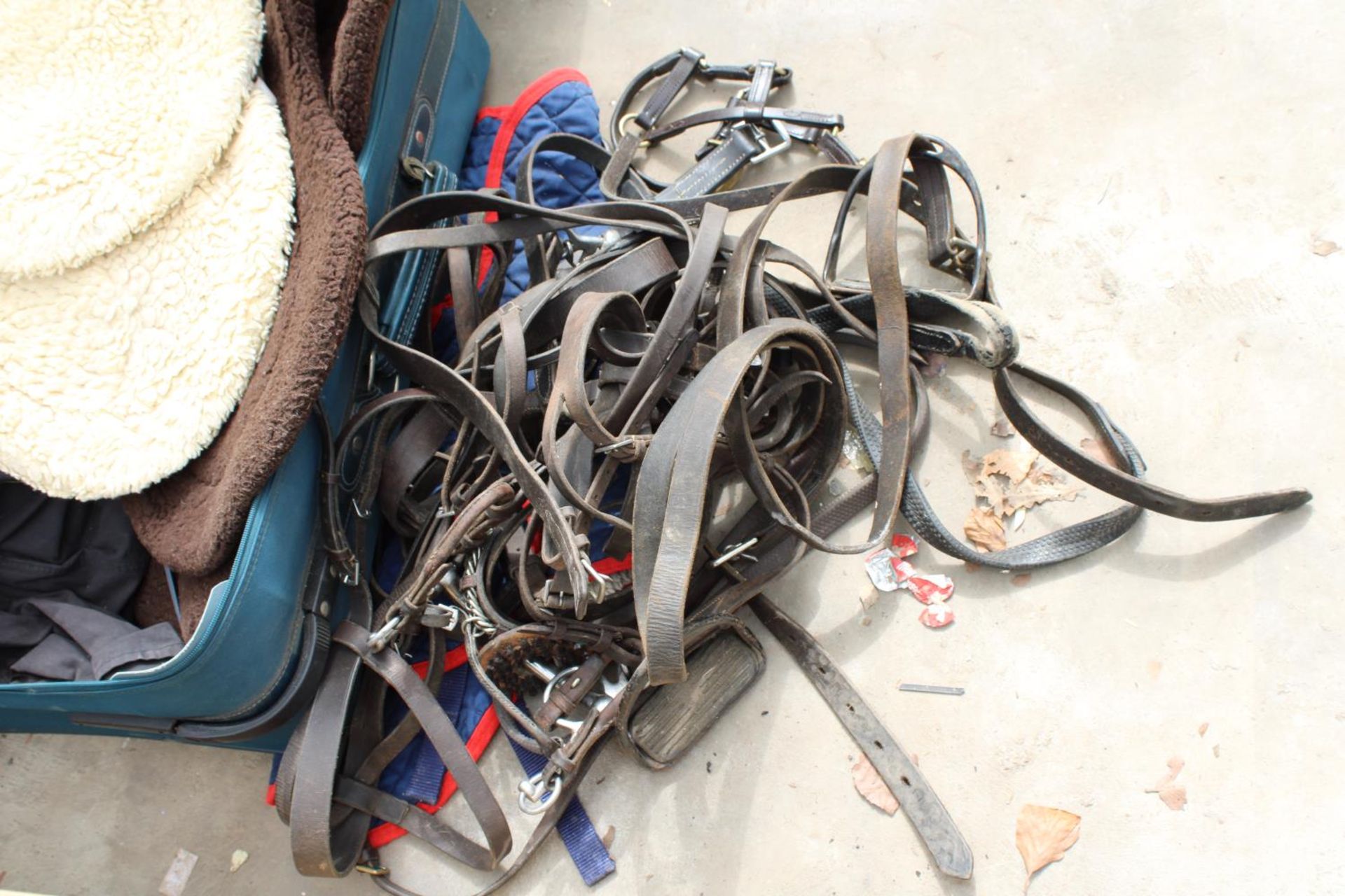AN ASSORTMENT OF HORSE TACK TO INCLUDE HEAD COLLARS AND NUMBNERS ETC - Image 4 of 4