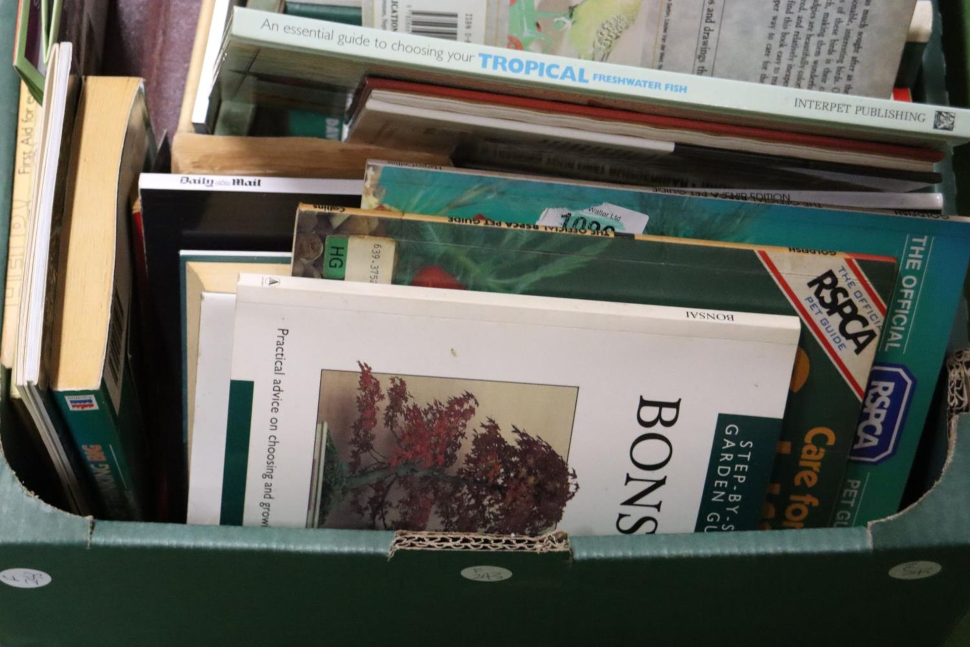 A QUANTITY OF BOOKS TO INCLUDE ANIMALS, FIRST AID, PLANTS, ETC - Image 5 of 5