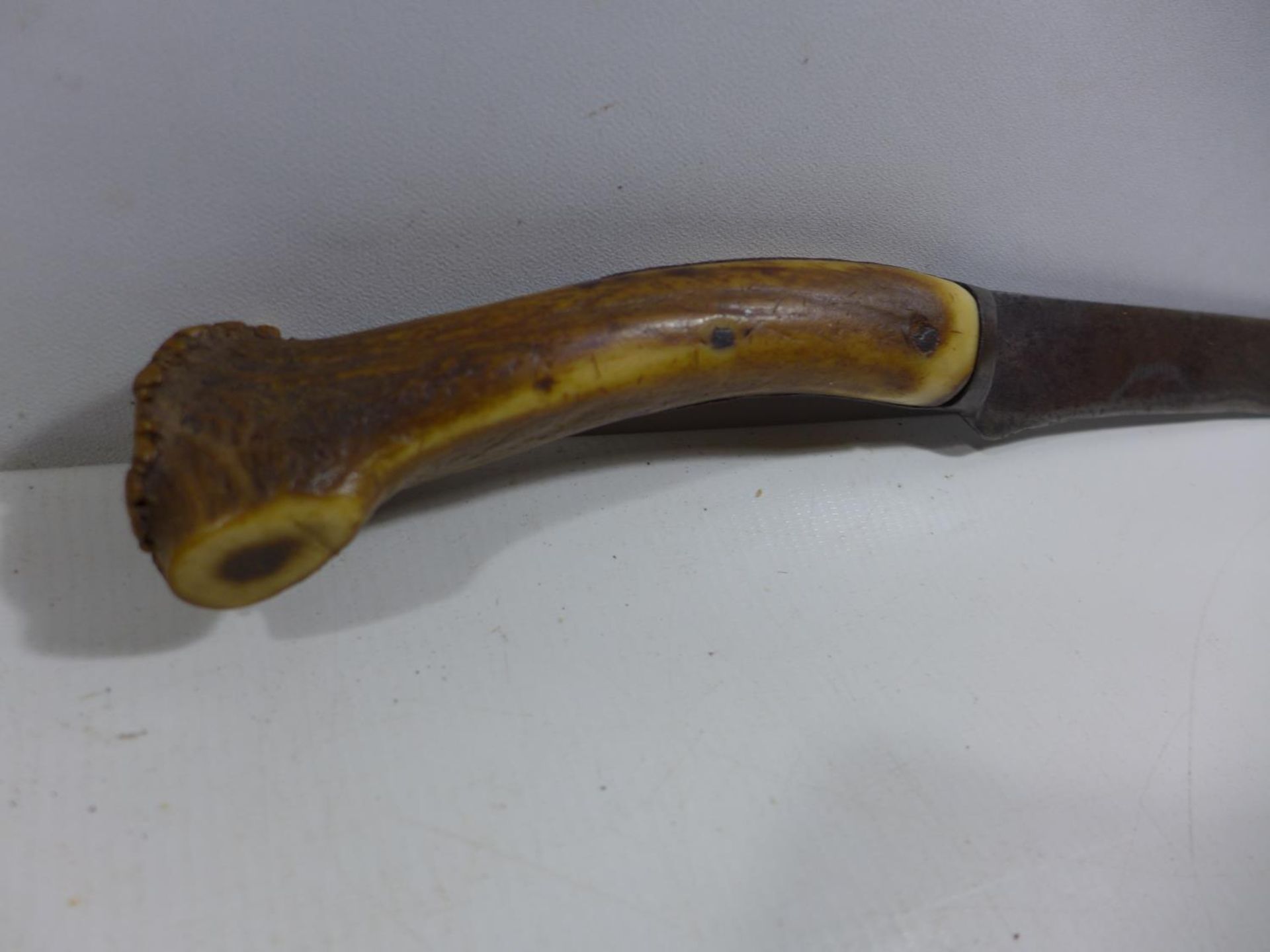 A VINTAGE STAGHORN HANDLED KNIFE 25CM BLADE, LENGTH 41CM - Image 2 of 4