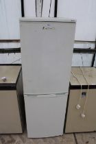 A LEC PENTANE FRIDGE FREEZER